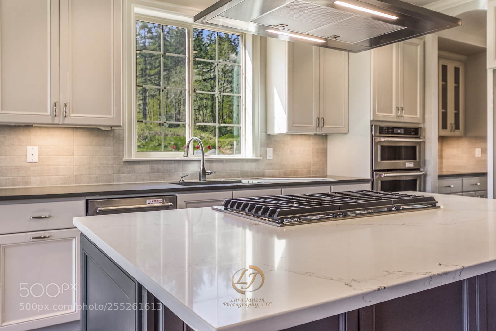 Nikon D7200 sample photo. Larajanzenphotography_treefrogphotography photography