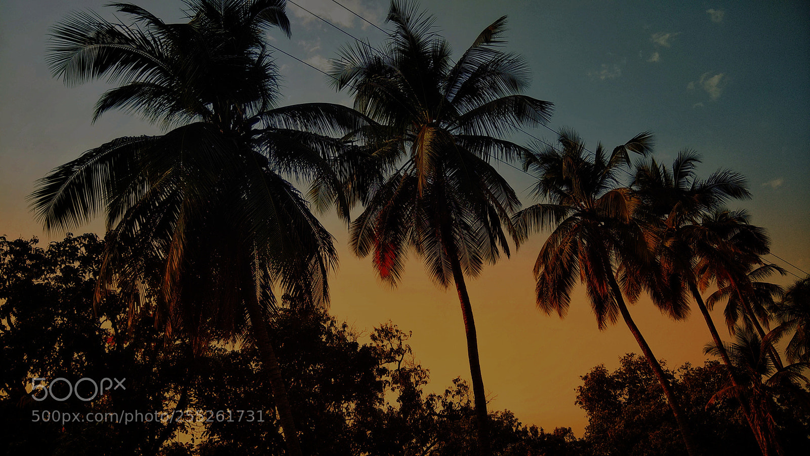Xiaomi Redmi Note 4 sample photo. Perfect  sunset.. photography