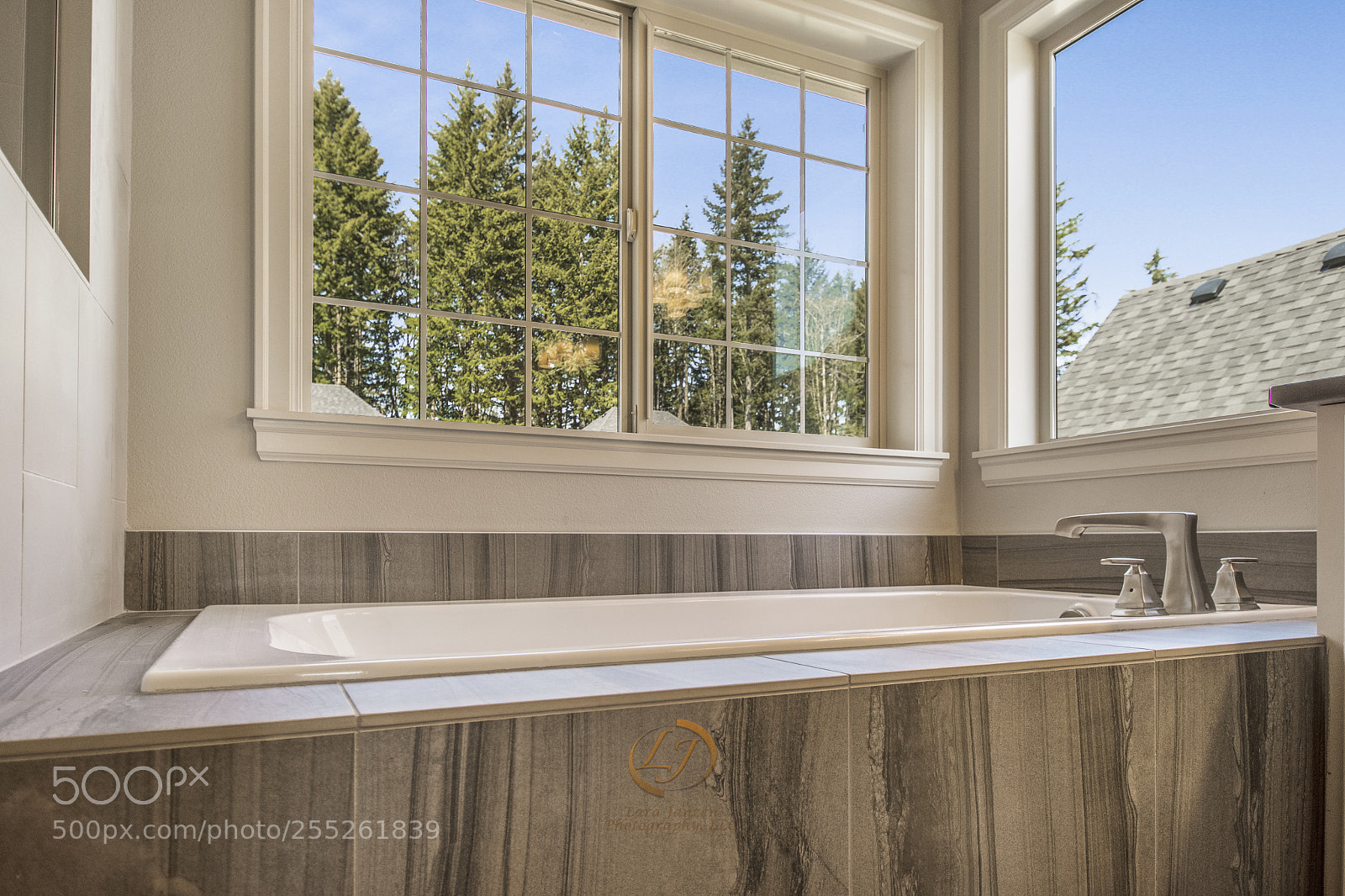 Nikon D7200 sample photo. Larajanzenphotography_treefrogphotography photography