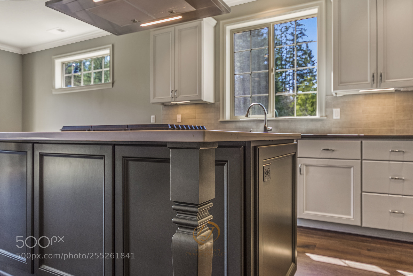 Nikon D7200 sample photo. Larajanzenphotography_treefrogphotography photography