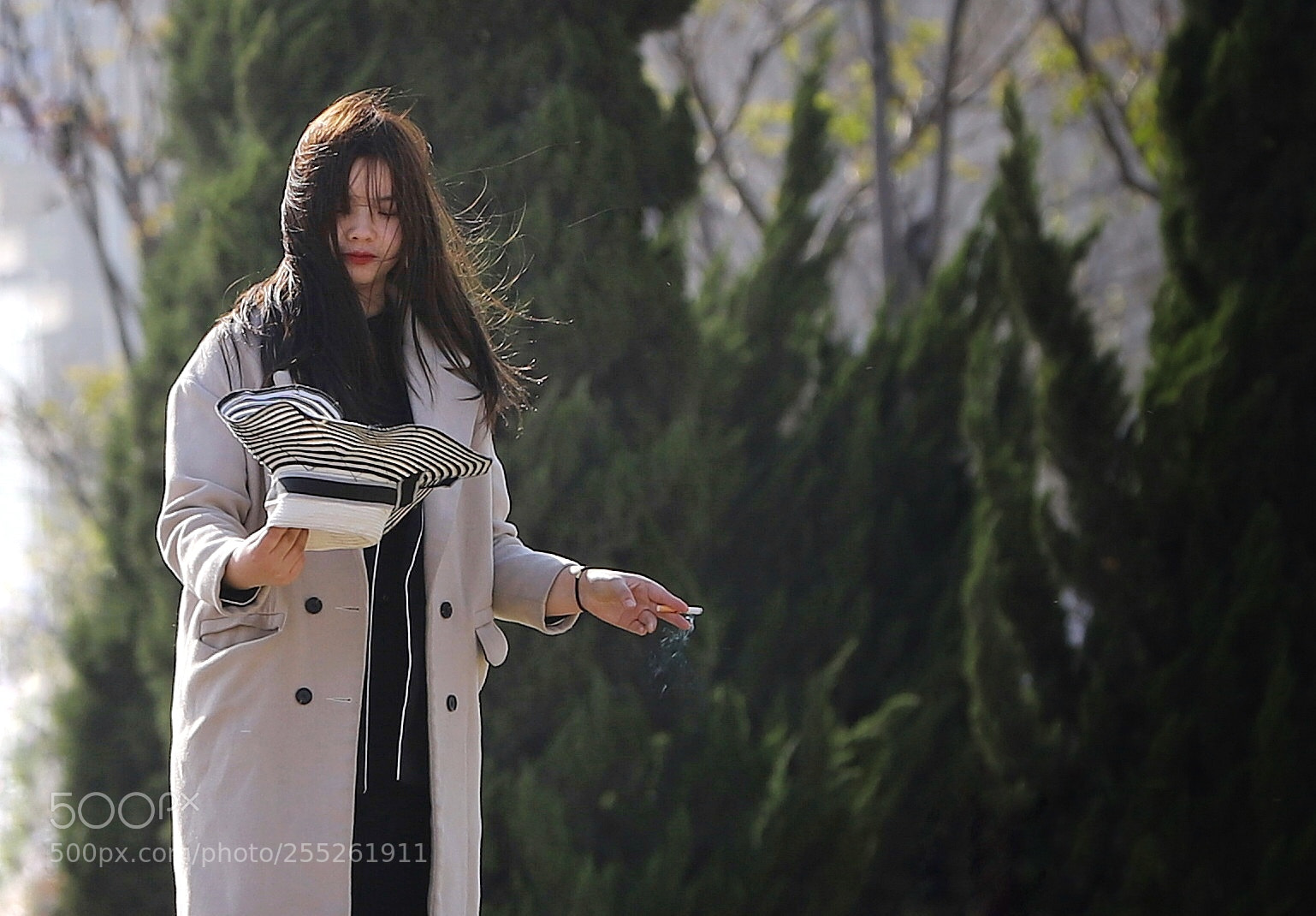 Canon EOS 6D Mark II sample photo. 一只香烟 photography