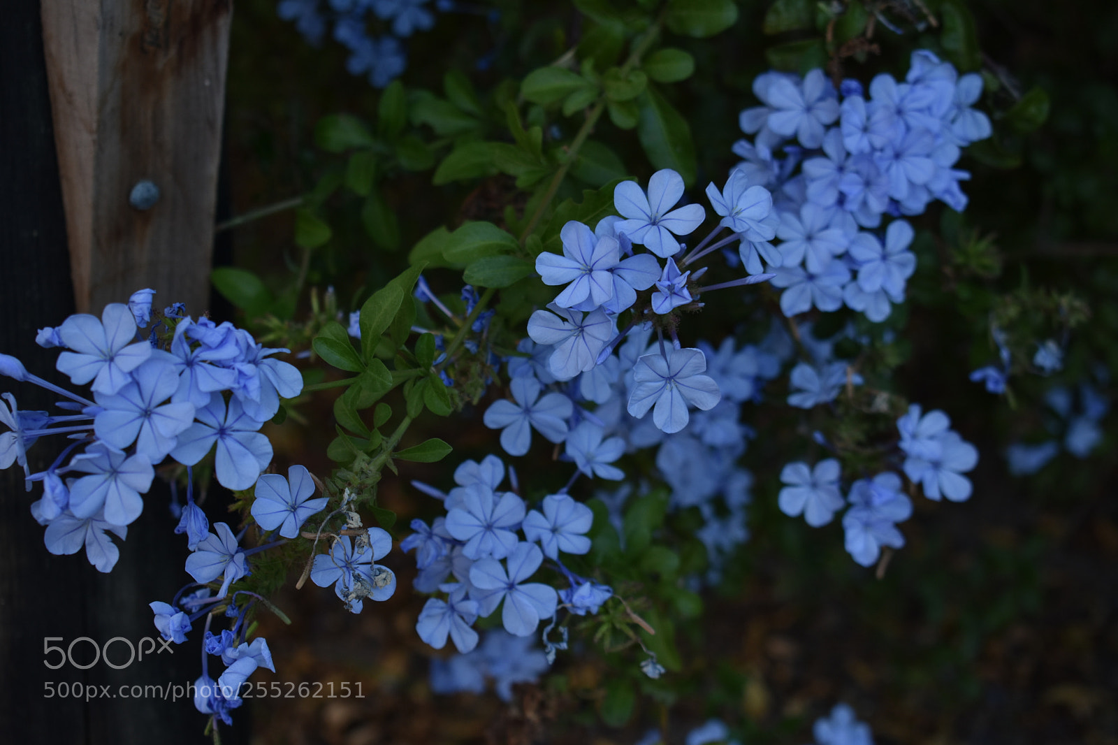 Nikon D3400 sample photo. Dsc photography