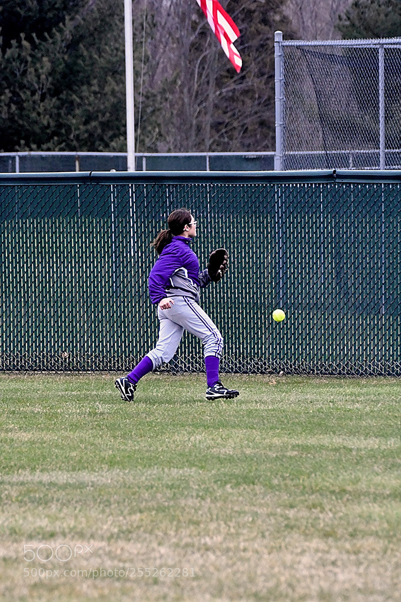 Nikon D500 sample photo. 4-18_0027.jpg photography