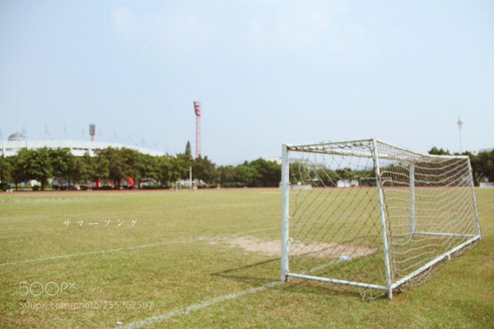 Canon EOS 60D sample photo. 日系 photography