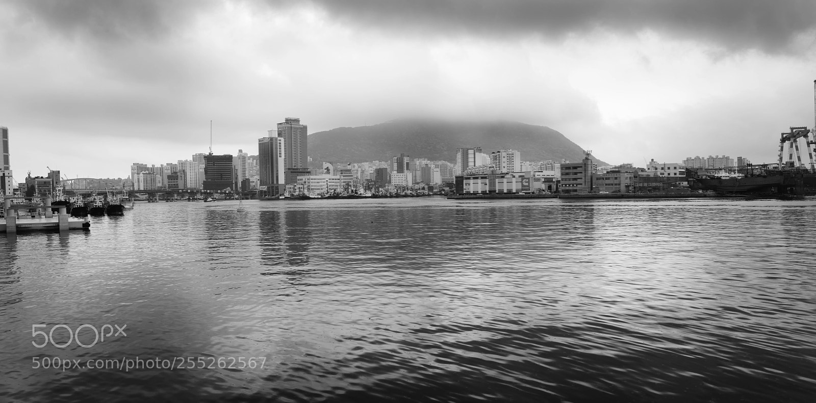 Nikon D600 sample photo. Busan photography
