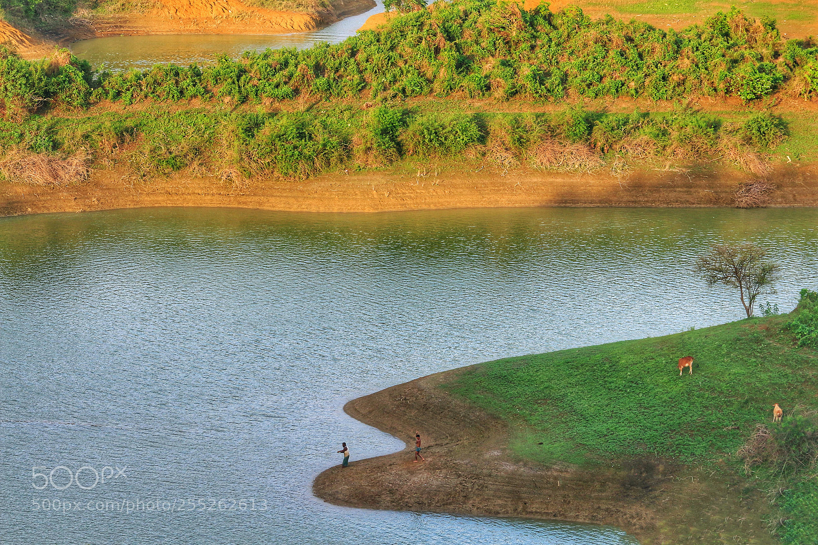 Canon EOS 700D (EOS Rebel T5i / EOS Kiss X7i) sample photo. Beautiful bangladesh photography