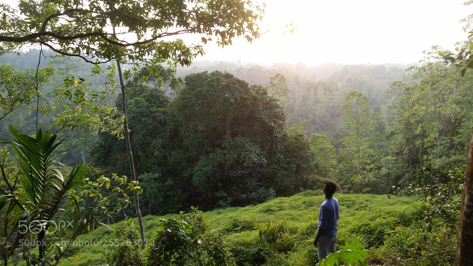 Samsung Galaxy S5 sample photo. Travel around sri lanka photography