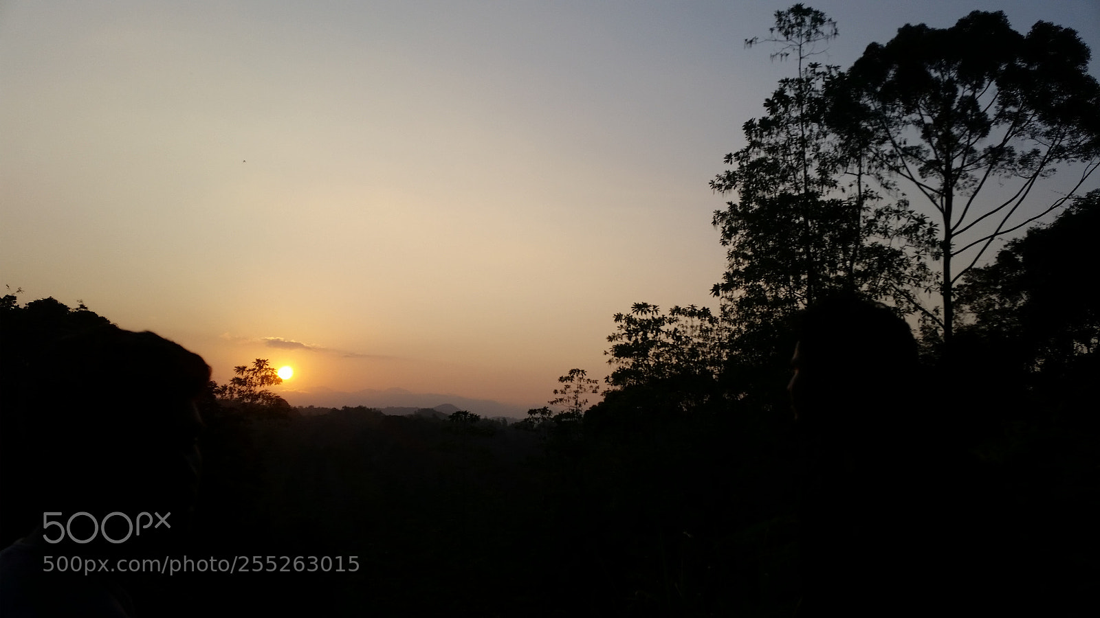 Samsung Galaxy S5 sample photo. Travel around sri lanka photography