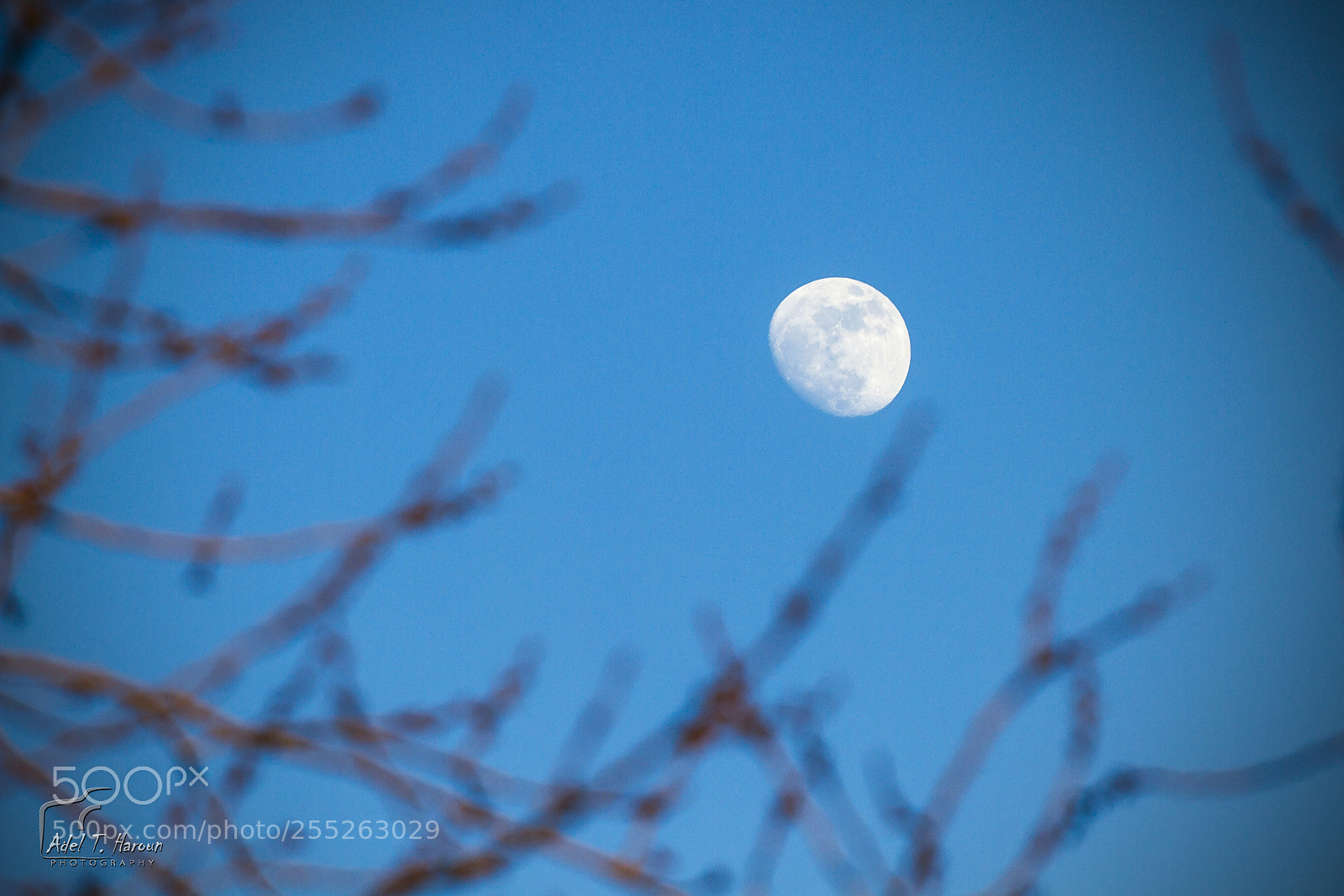 Canon EOS 7D sample photo. Moon photography