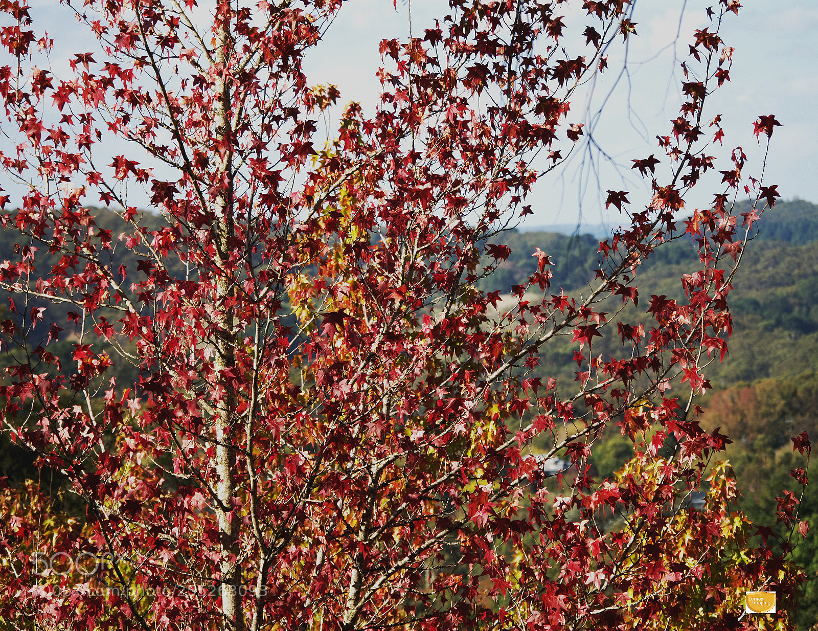 Olympus OM-D E-M5 II sample photo. Olympus digital camera photography