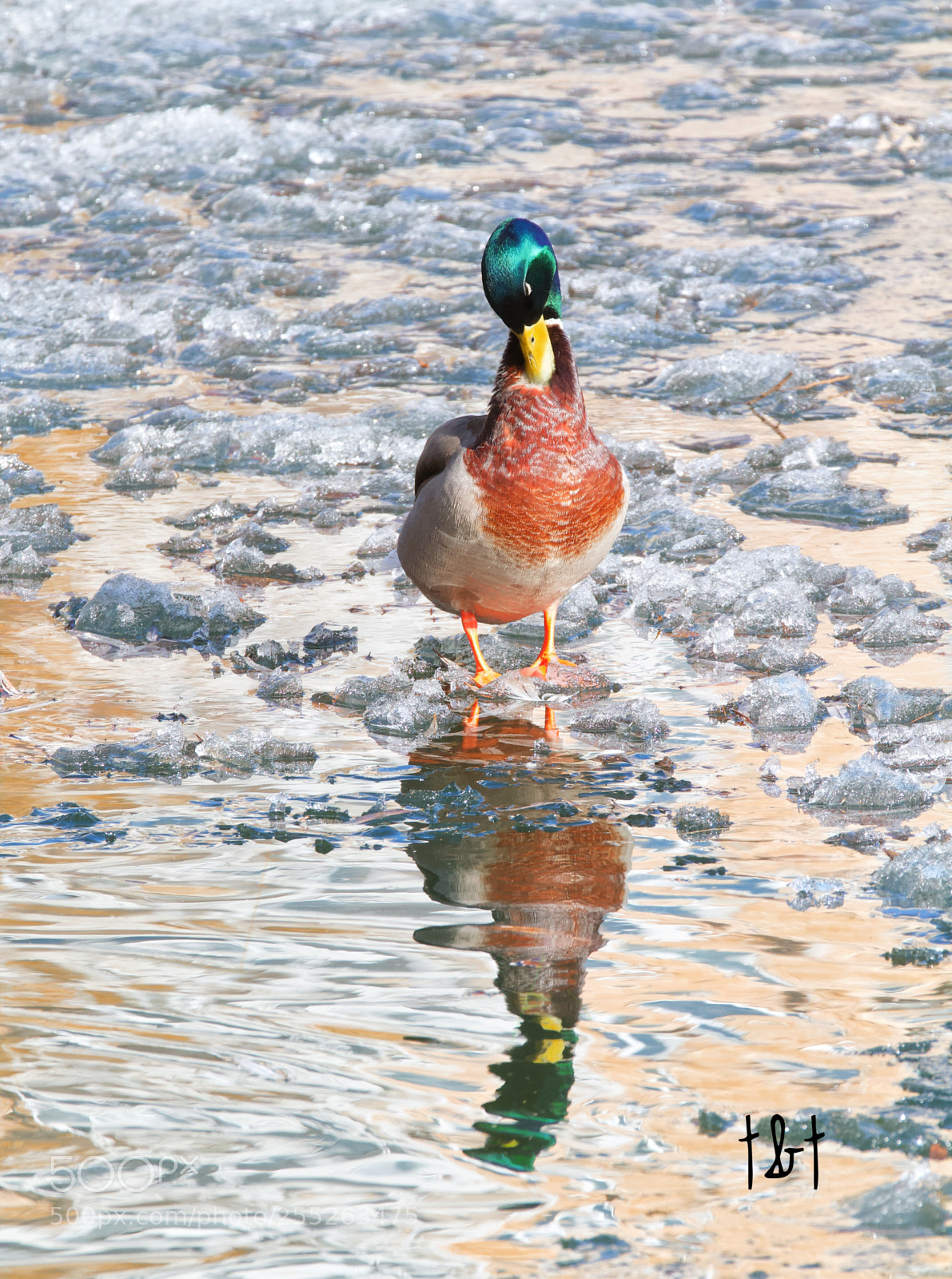 Canon EOS 7D sample photo. Untitled photography