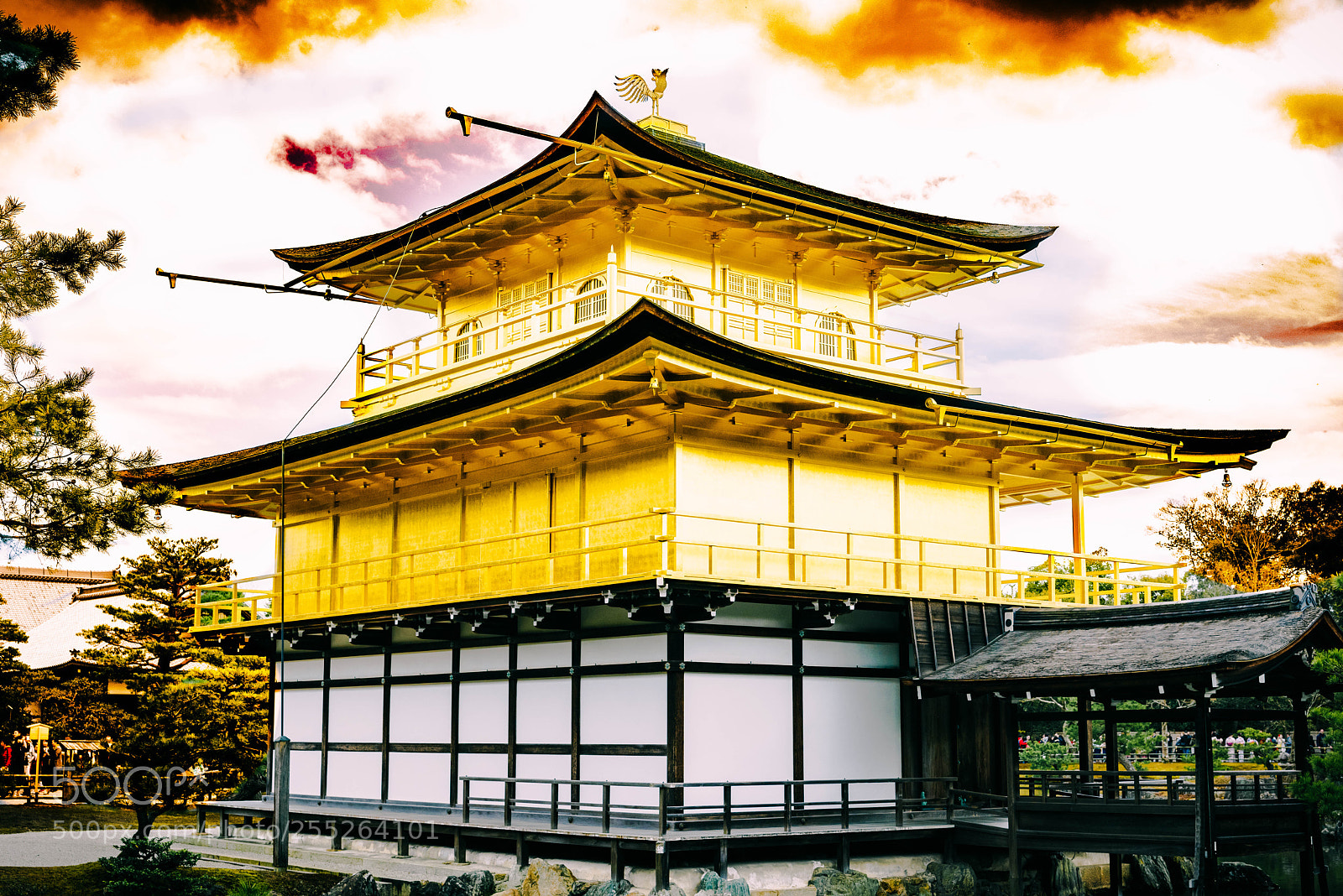 Nikon D810 sample photo. Japan beautiful temple photography