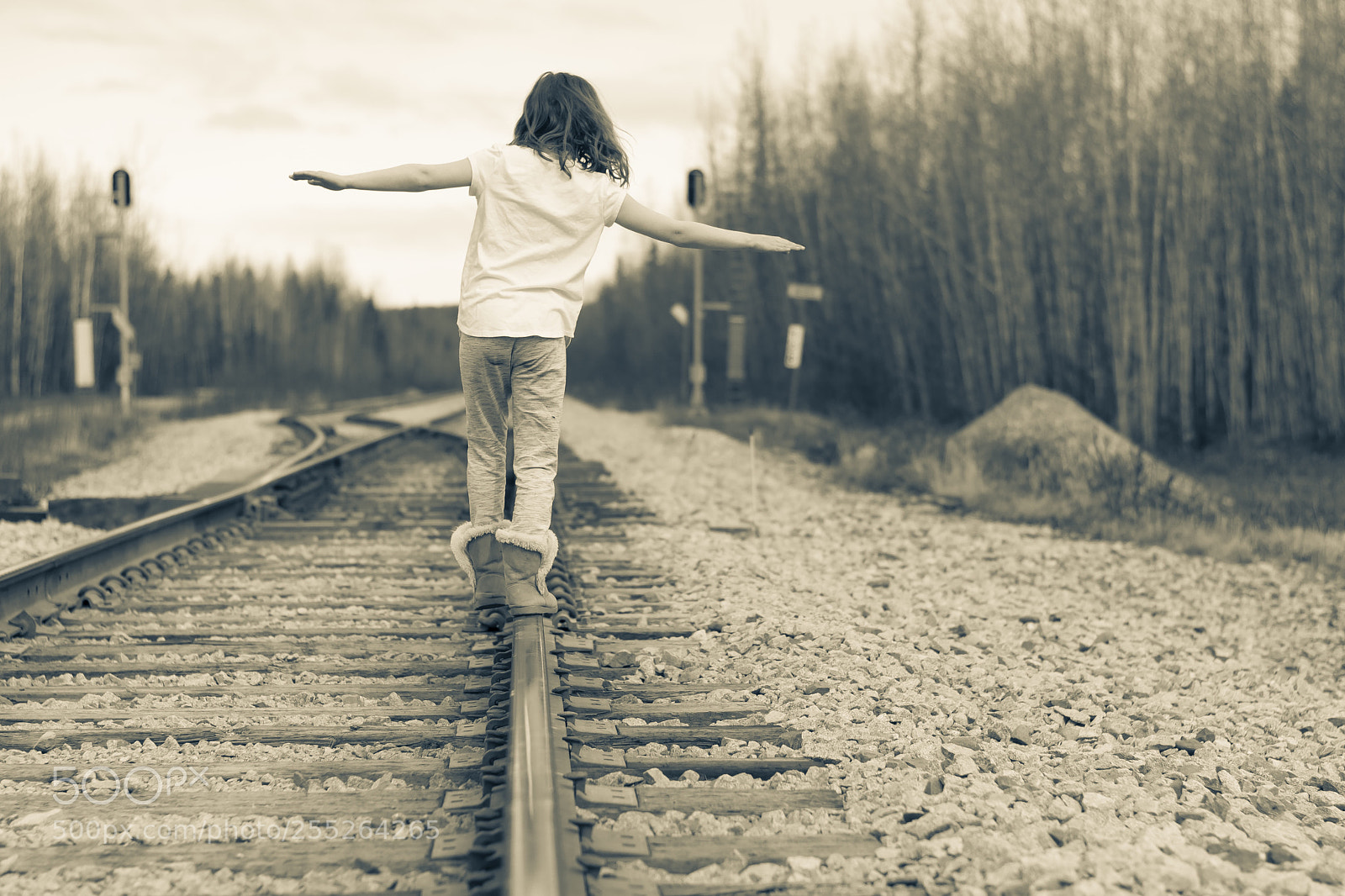 Nikon D7200 sample photo. Walk the line photography