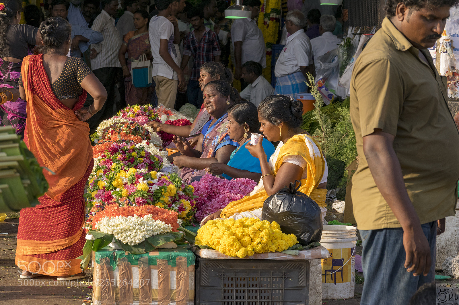 Nikon D5300 sample photo. Koyambedu flower market photography