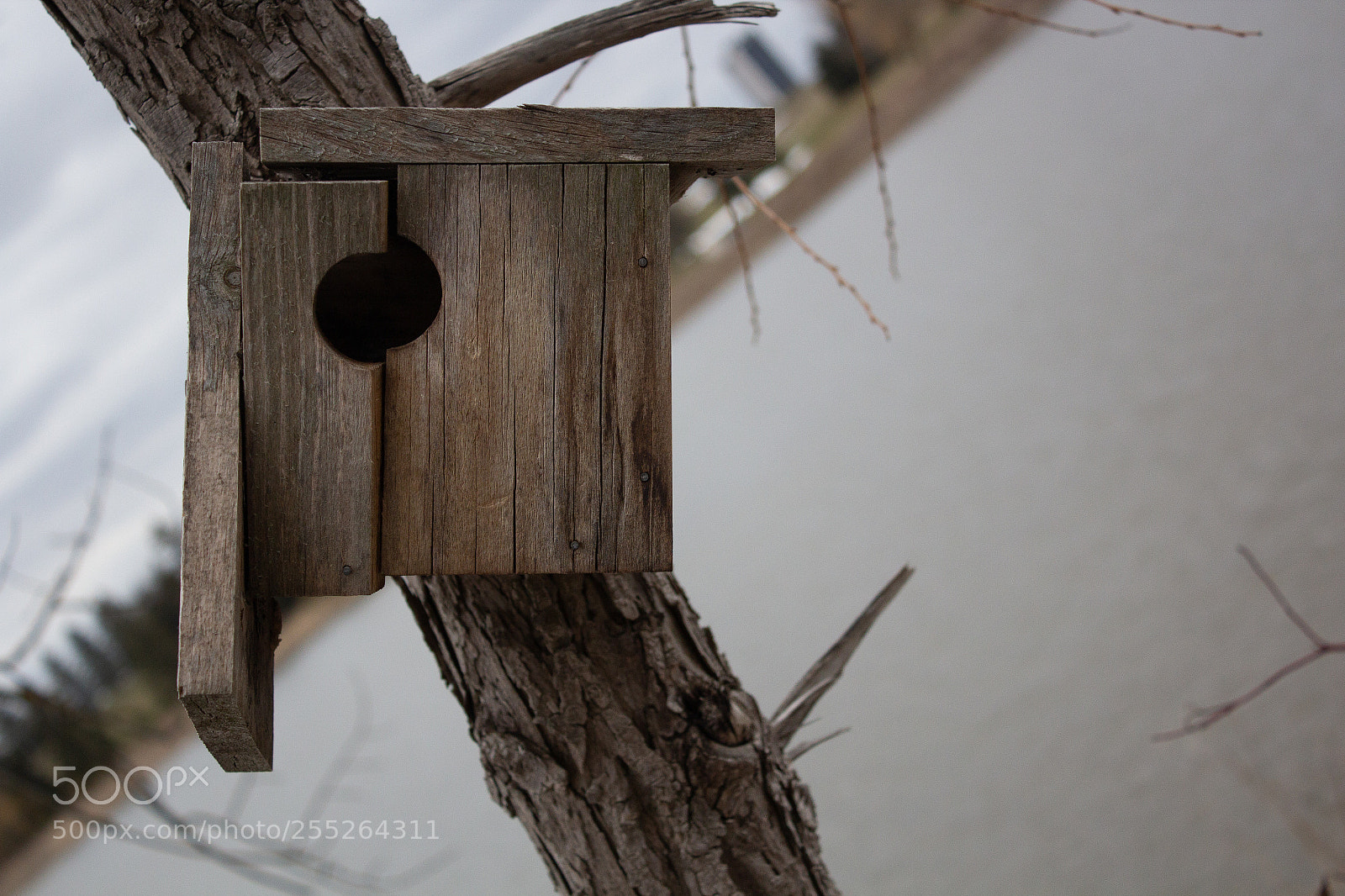 Canon EOS 600D (Rebel EOS T3i / EOS Kiss X5) sample photo. Img photography