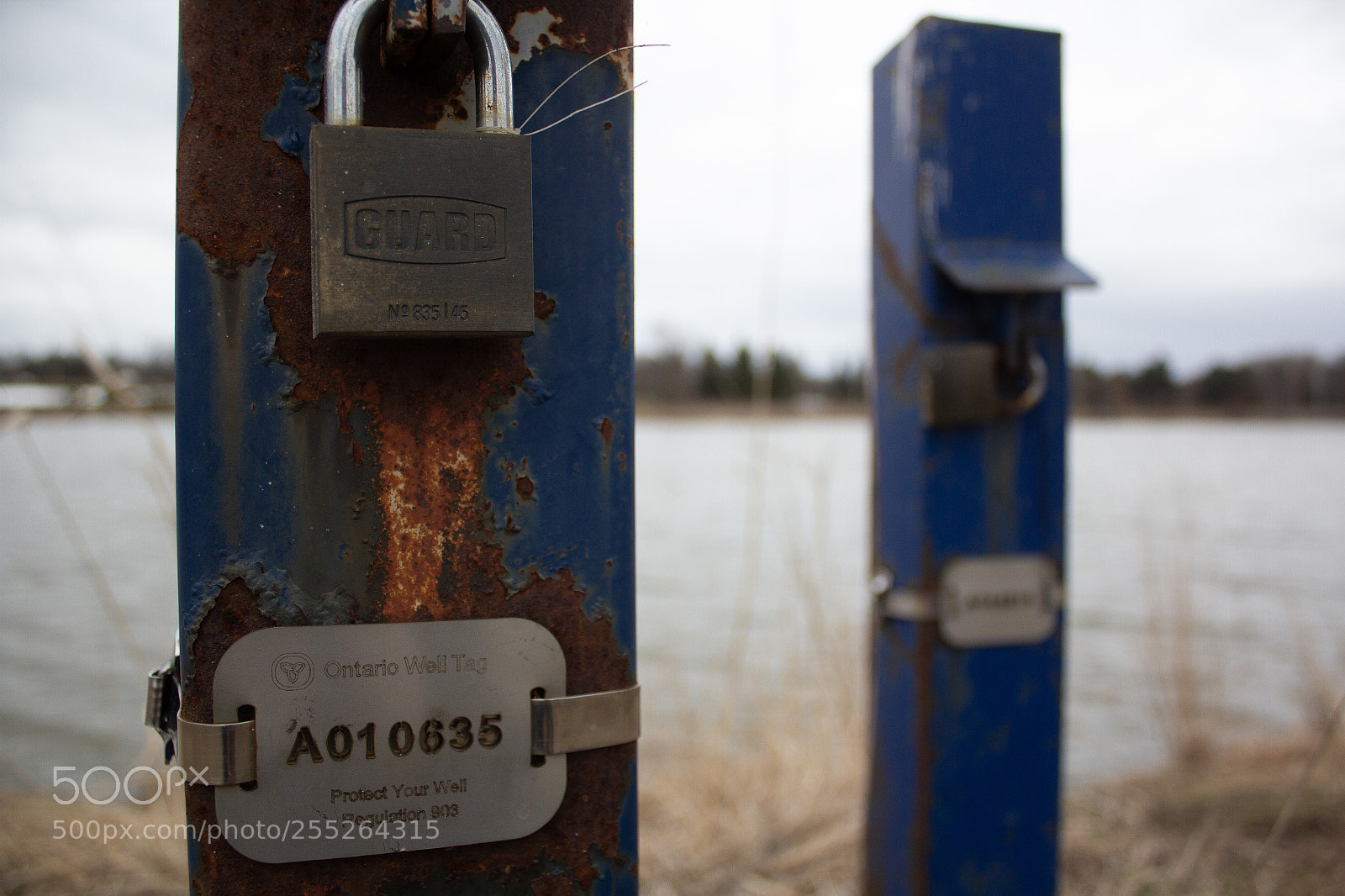 Canon EOS 600D (Rebel EOS T3i / EOS Kiss X5) sample photo. Img photography