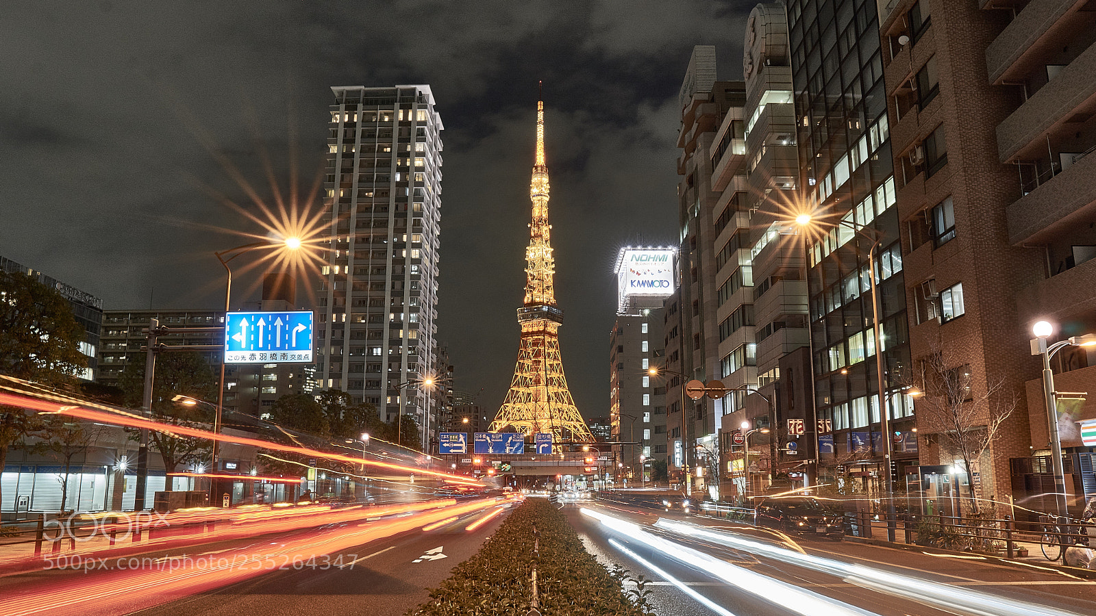 Sony a5100 sample photo. Tower of tokyo photography