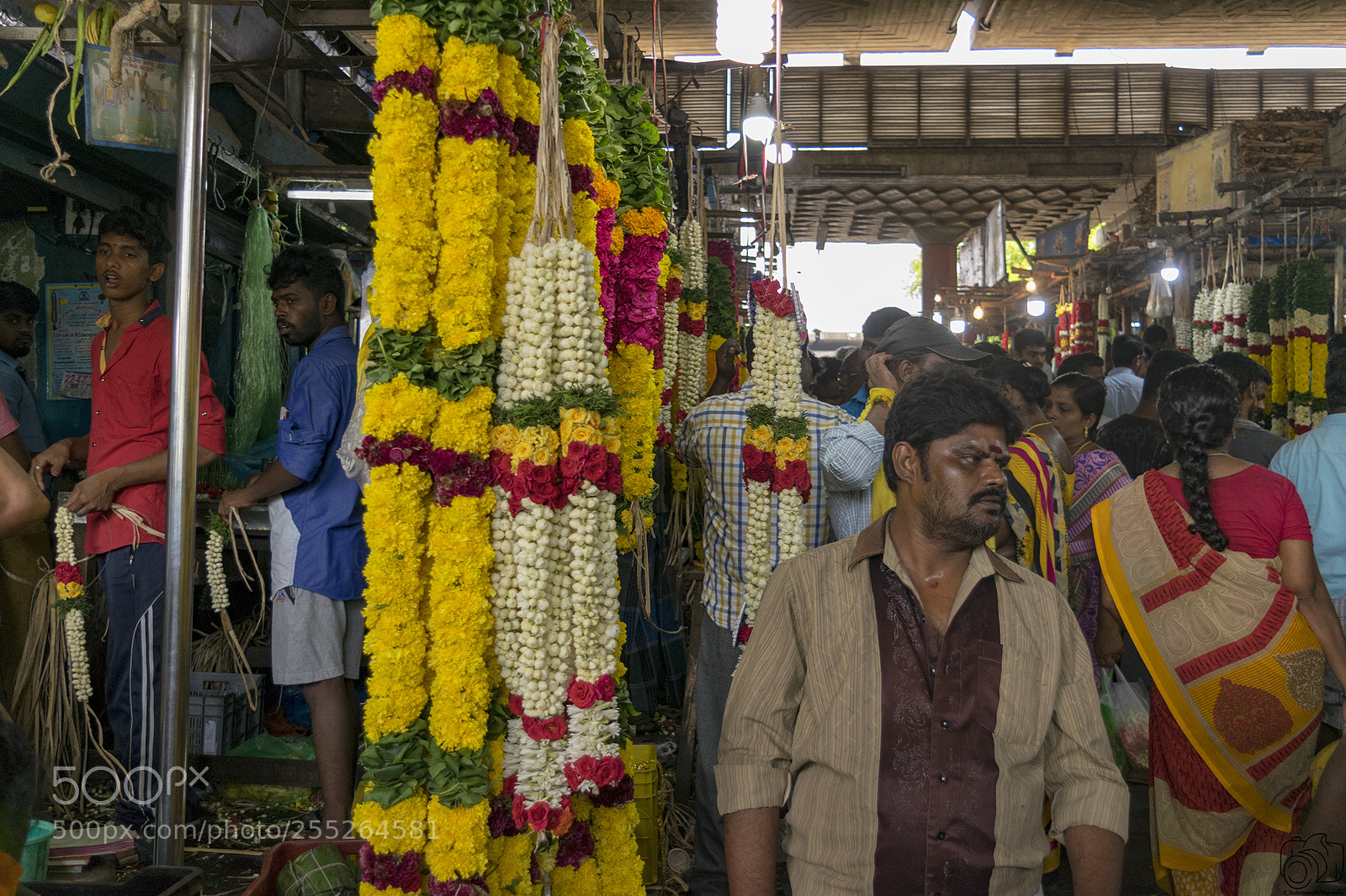 Nikon D5300 sample photo. Garlands at koyambedu flower photography
