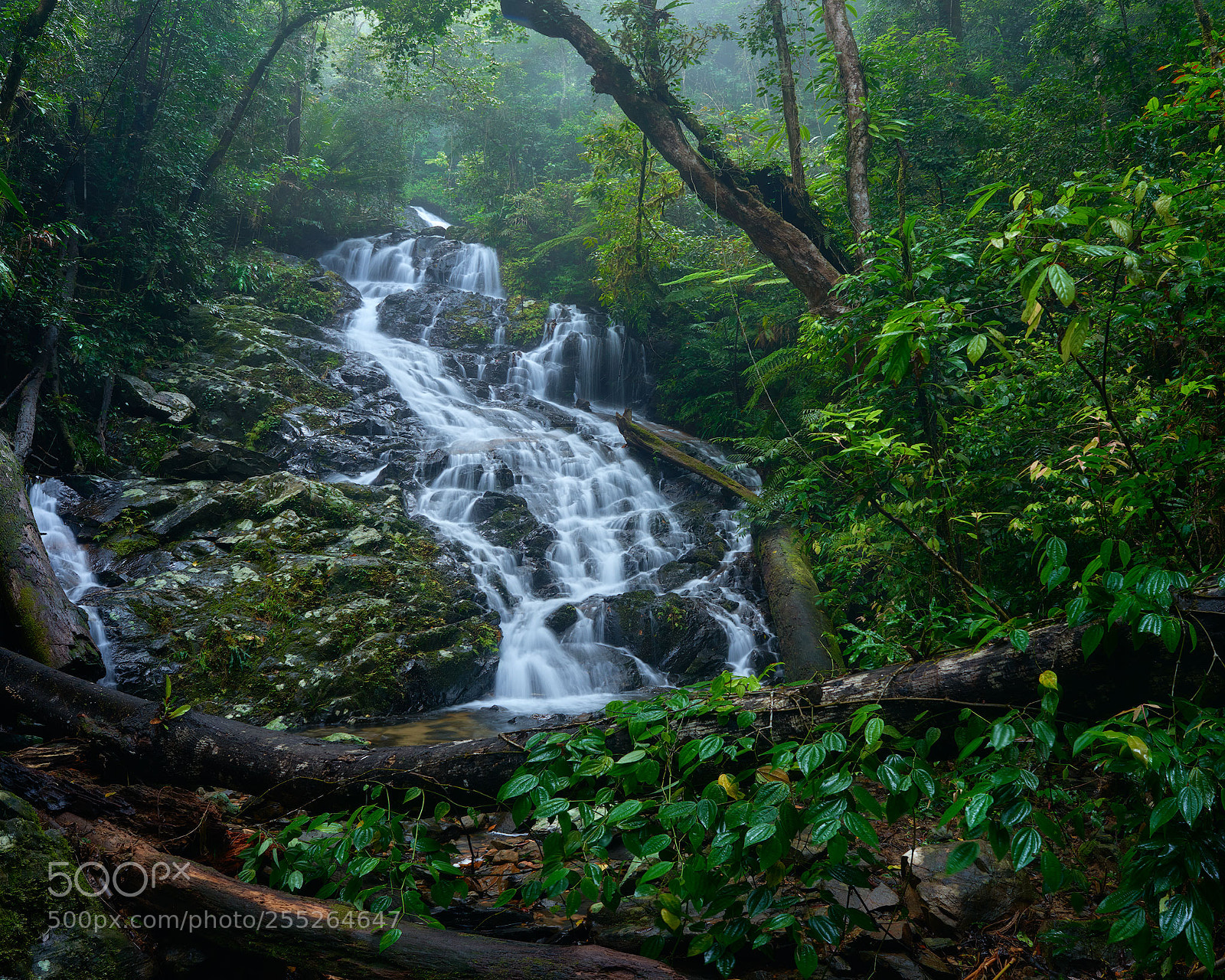 Nikon D800E sample photo. Bobbin-bobbin-falls photography