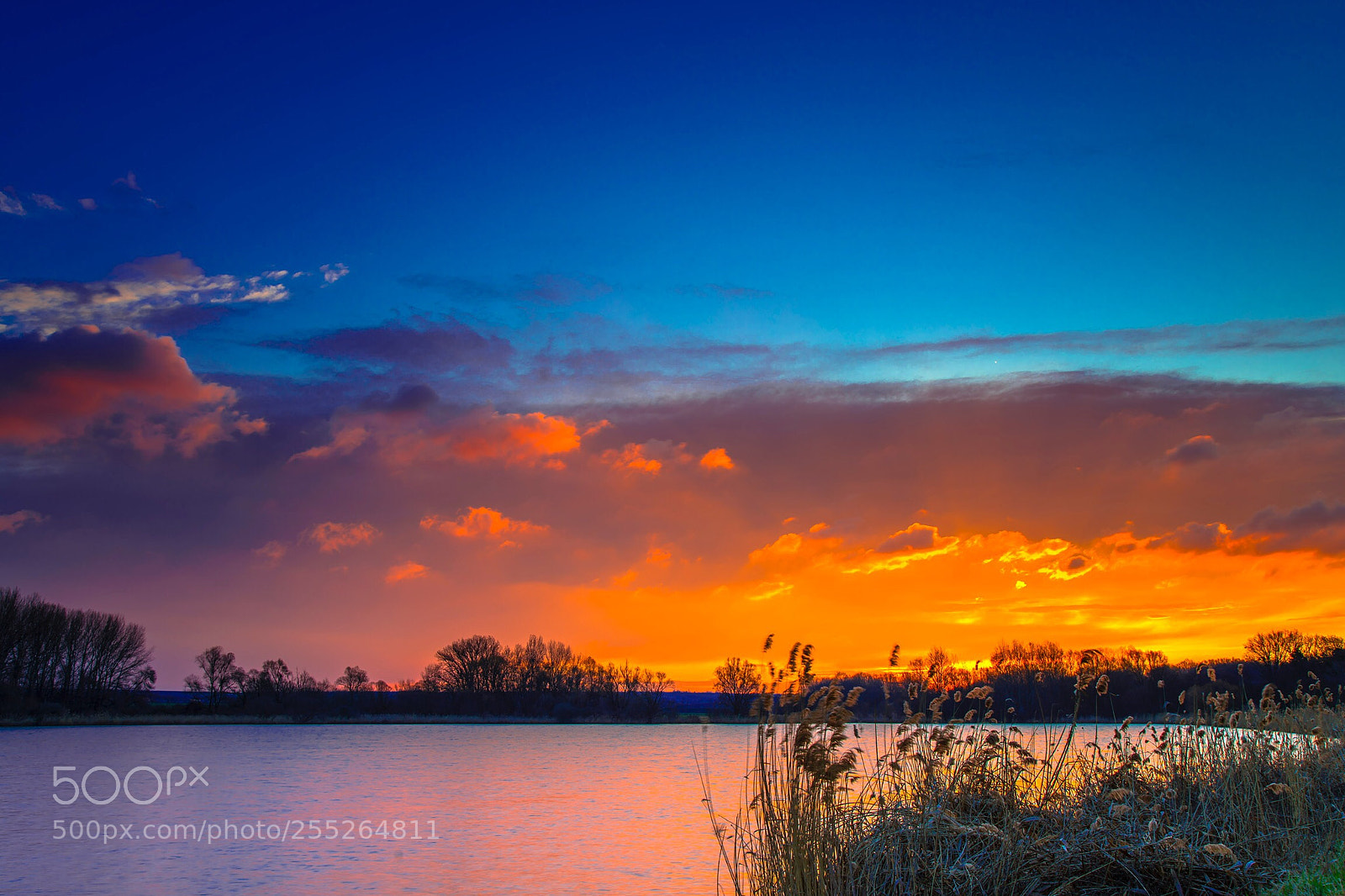 Sony a7R III sample photo. The perfect sunset colours photography
