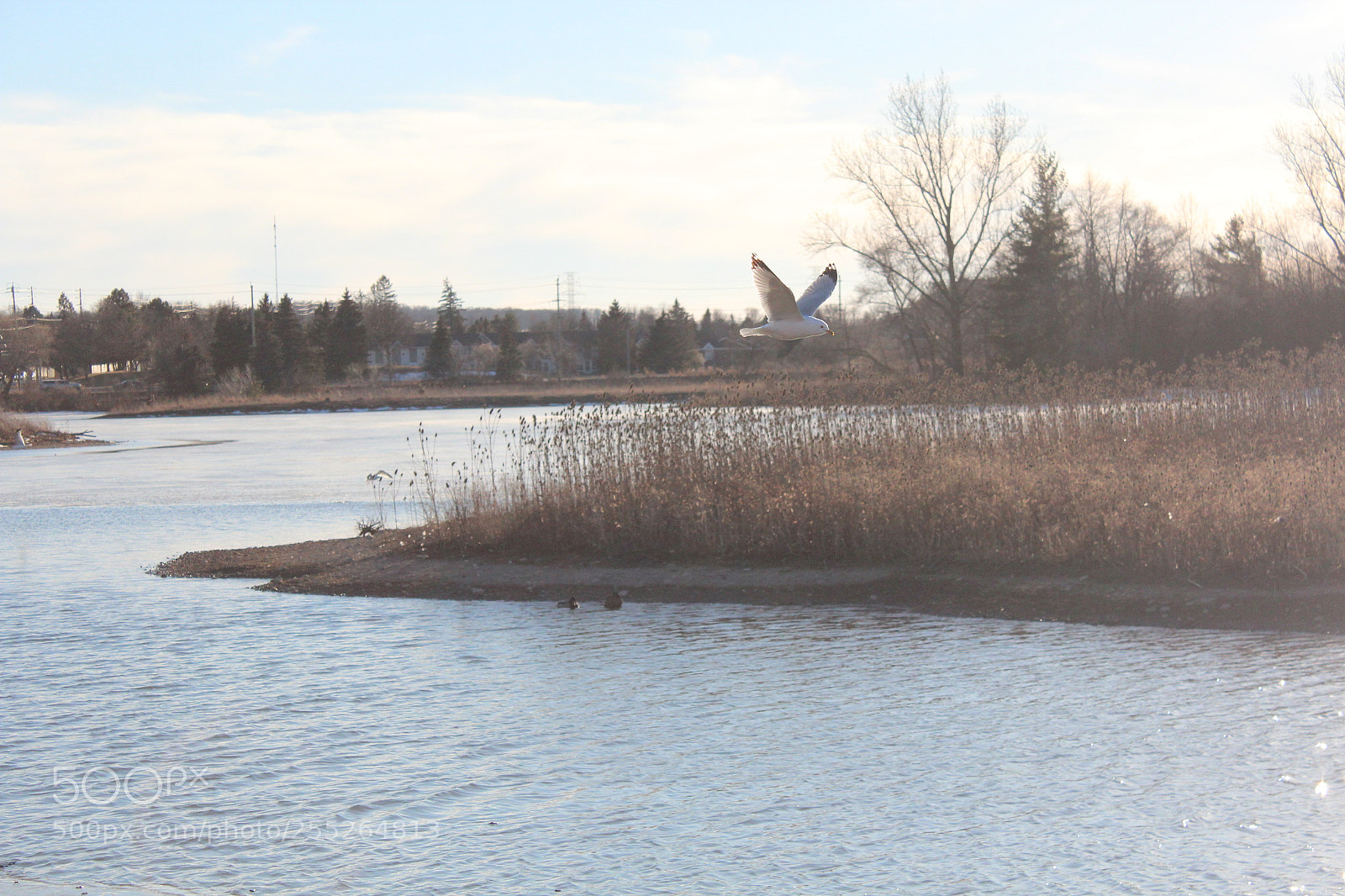Canon EOS 600D (Rebel EOS T3i / EOS Kiss X5) sample photo. Img photography