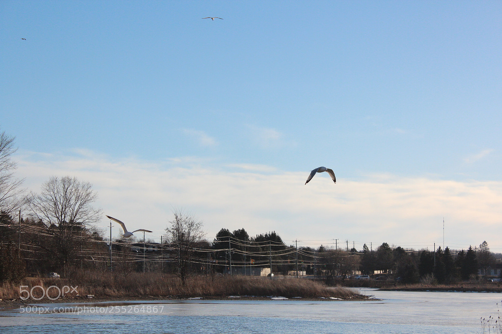 Canon EOS 600D (Rebel EOS T3i / EOS Kiss X5) sample photo. Img photography