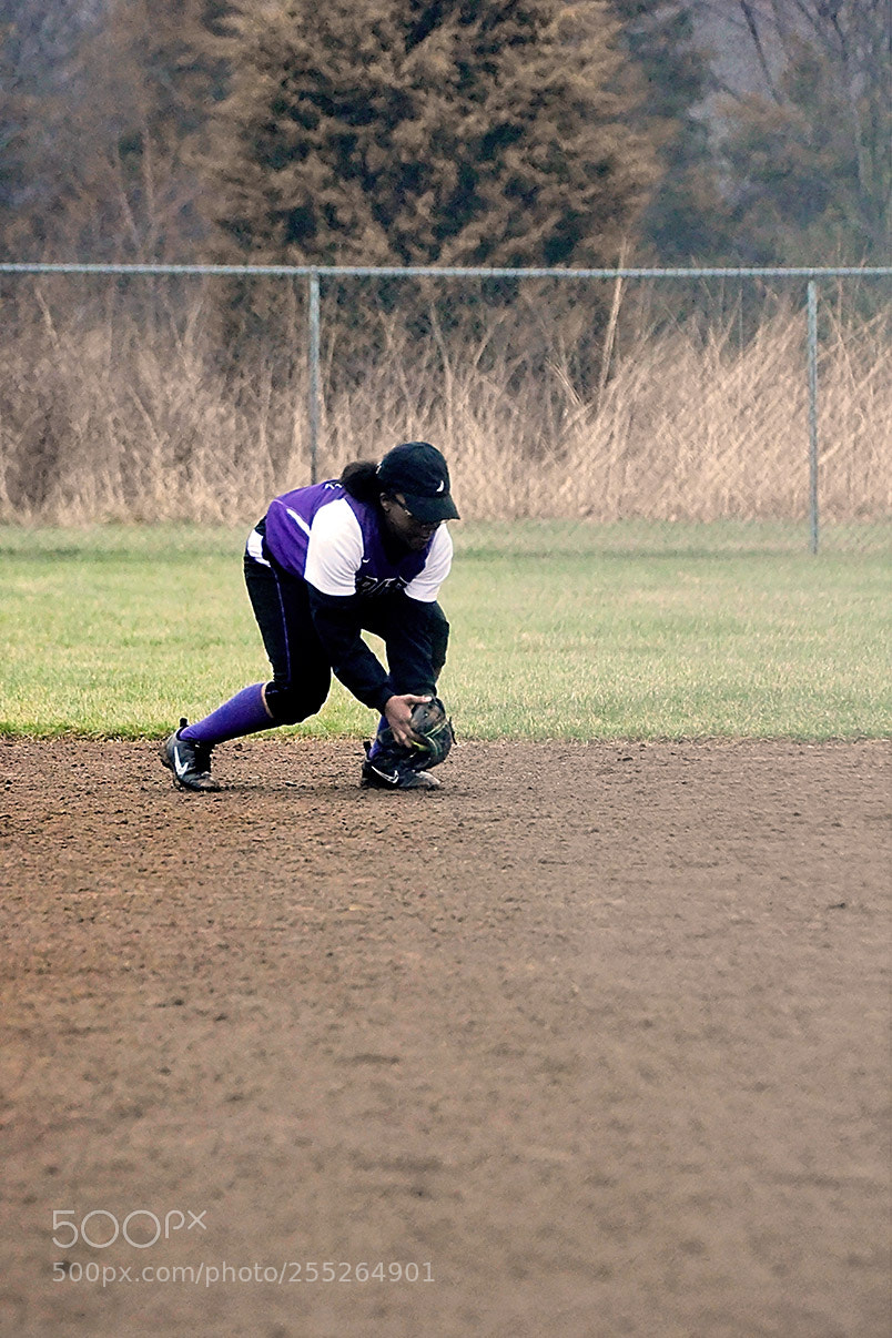 Nikon D500 sample photo. 4-18_0522.jpg photography