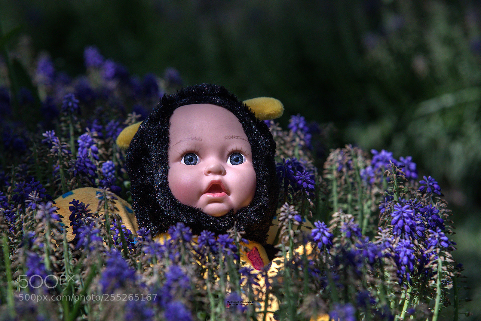 Pentax K-3 II sample photo. Beautiful flowers photography