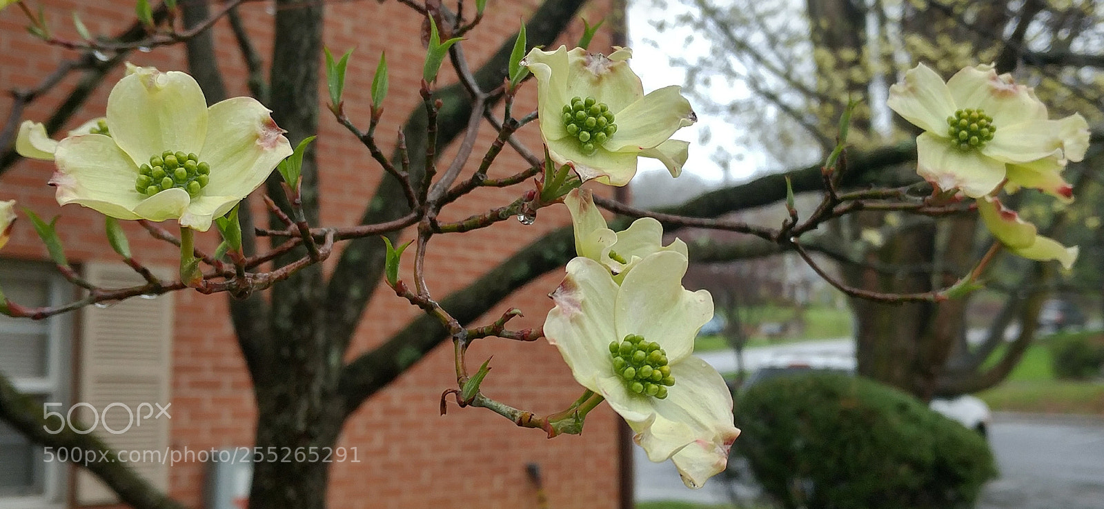 LG G5 sample photo. Untitled photography
