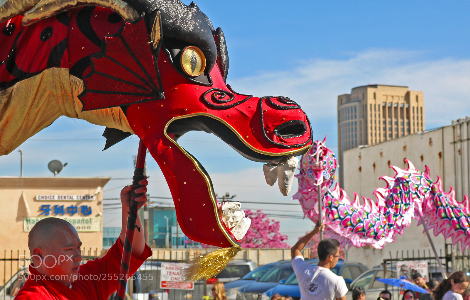 Canon EOS 750D (EOS Rebel T6i / EOS Kiss X8i) sample photo. Chinese dragon head xcu photography