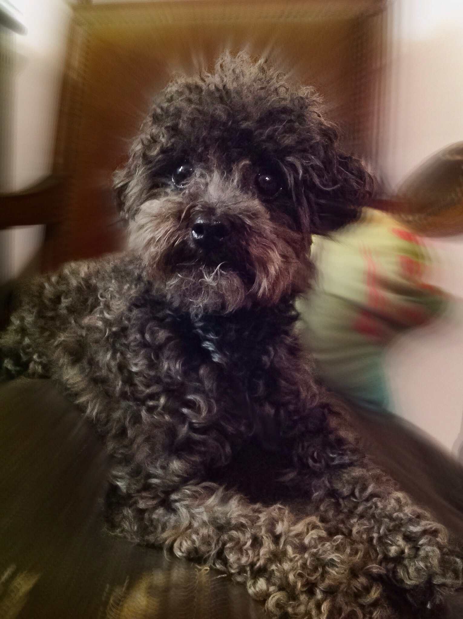 Apple iPad sample photo. Mi amigo indio. photography