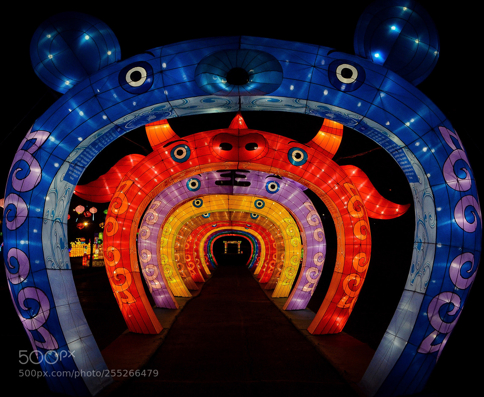 Nikon D5100 sample photo. Dragon lights festival photography
