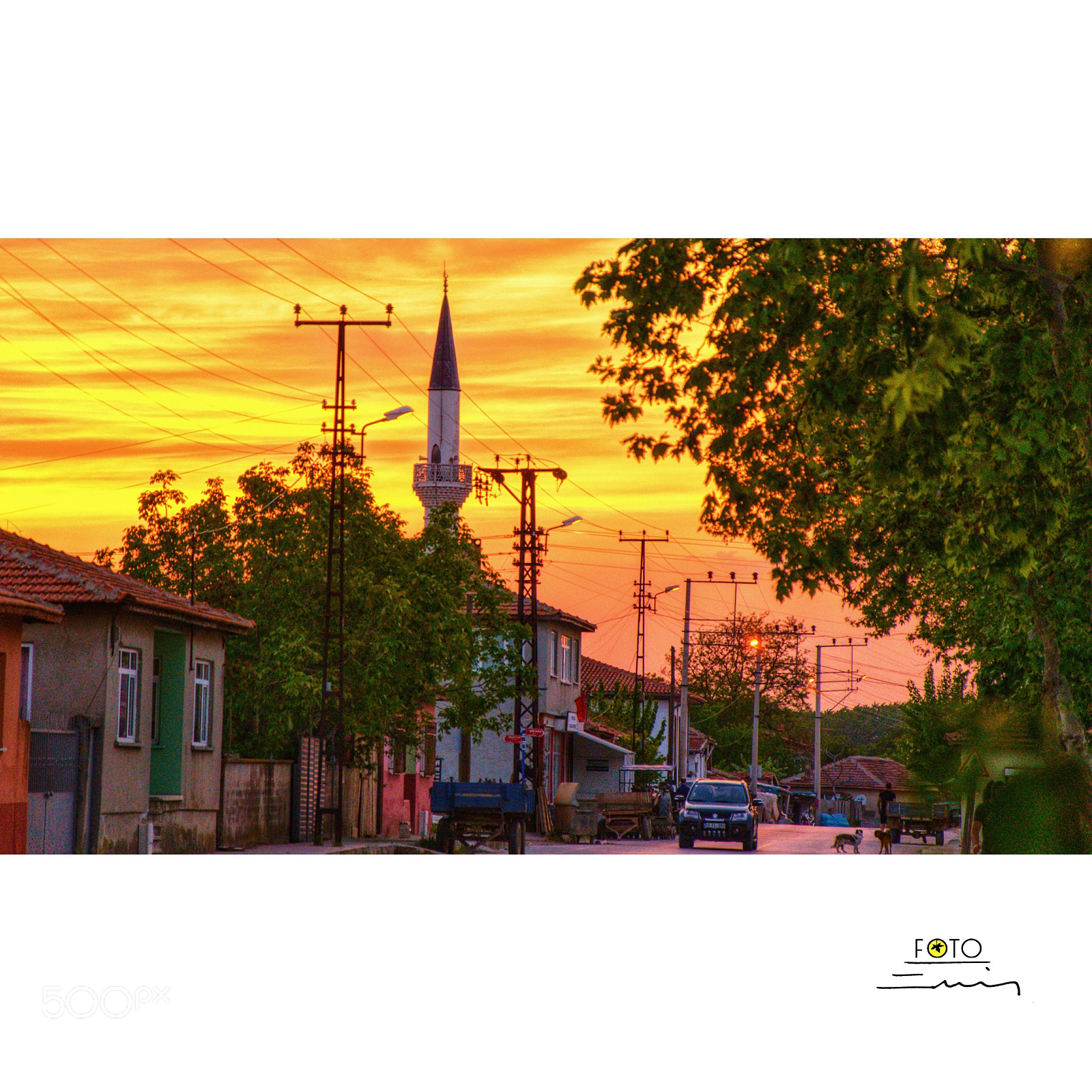Nikon D7000 sample photo. Karaağaç photography