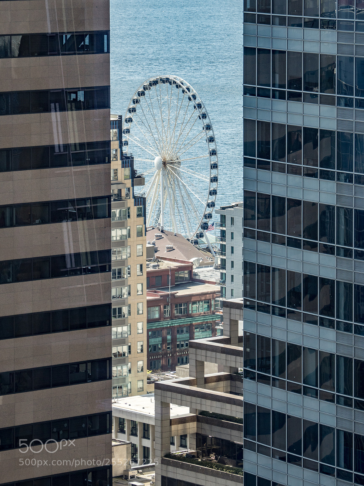 Olympus OM-D E-M5 II sample photo. Seattle triptych photography