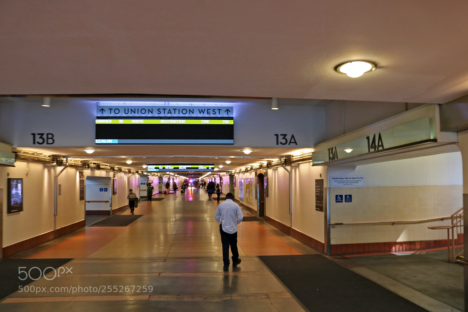Canon EOS 750D (EOS Rebel T6i / EOS Kiss X8i) sample photo. Underground union station photography