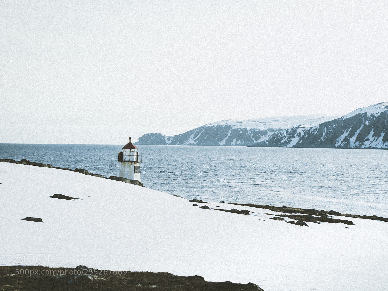 Olympus OM-D E-M5 II sample photo. Guardian of the sea photography