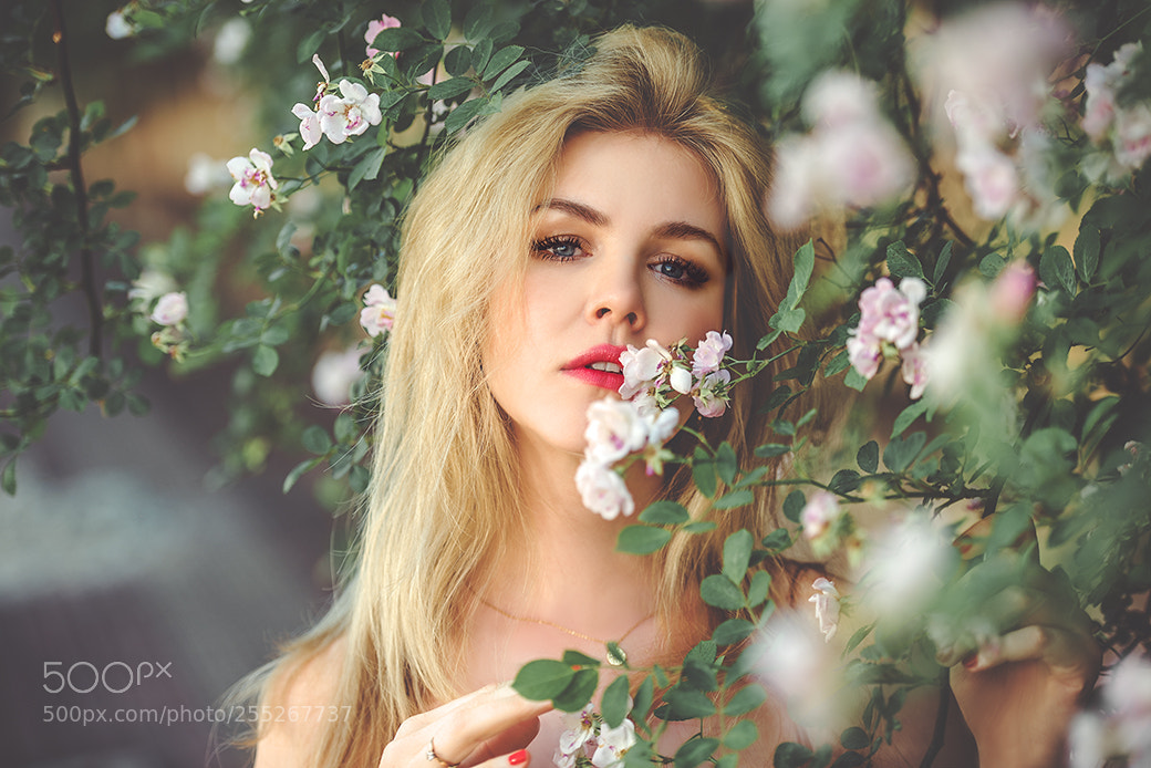 Nikon D810 sample photo. Untitled photography