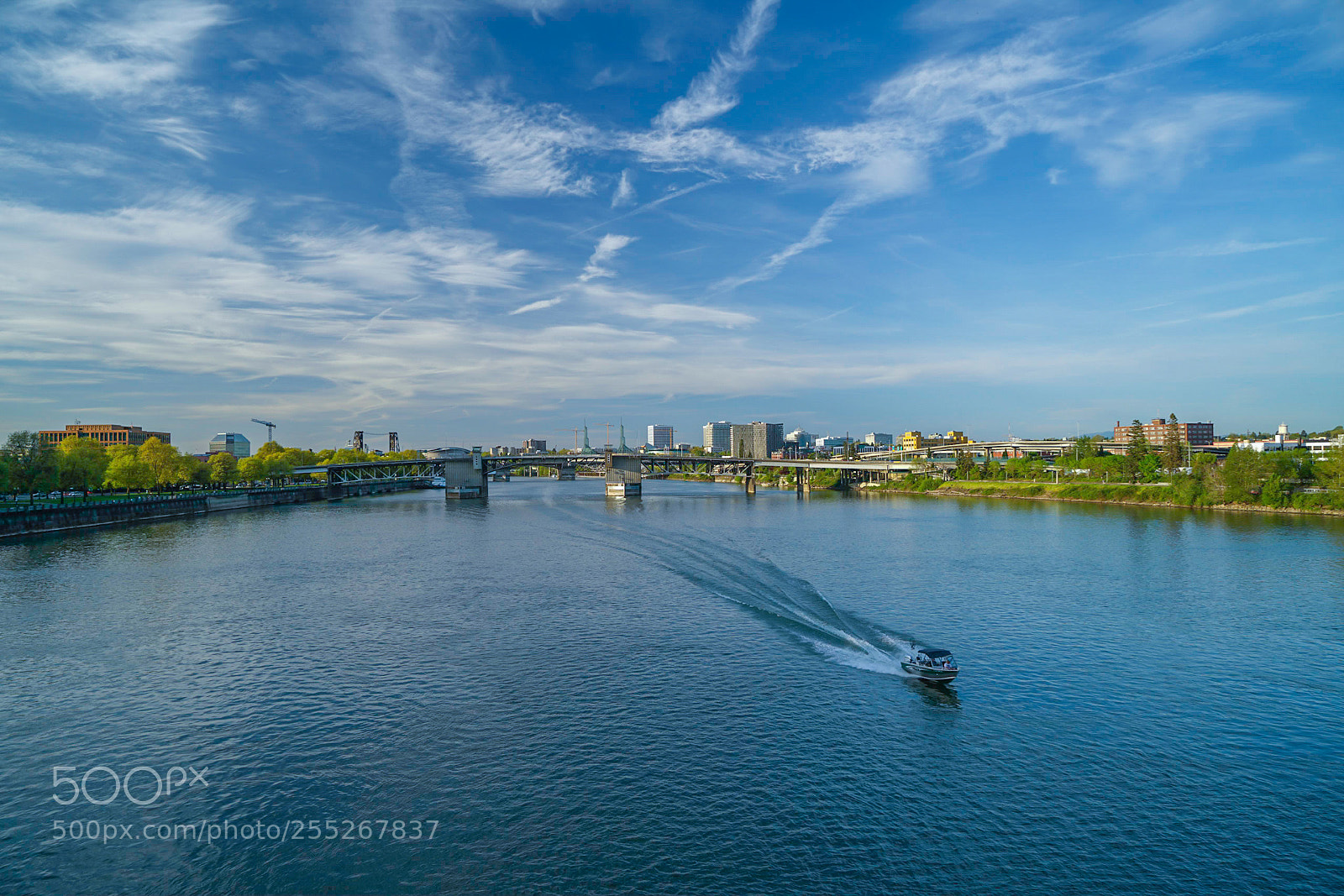 Sony a7R II sample photo. Sunshine in portland photography
