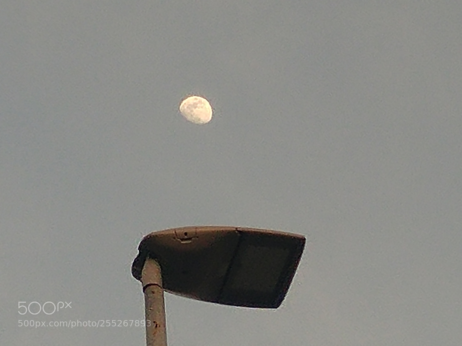 LG G5 sample photo. Cuando la luna alumbra photography