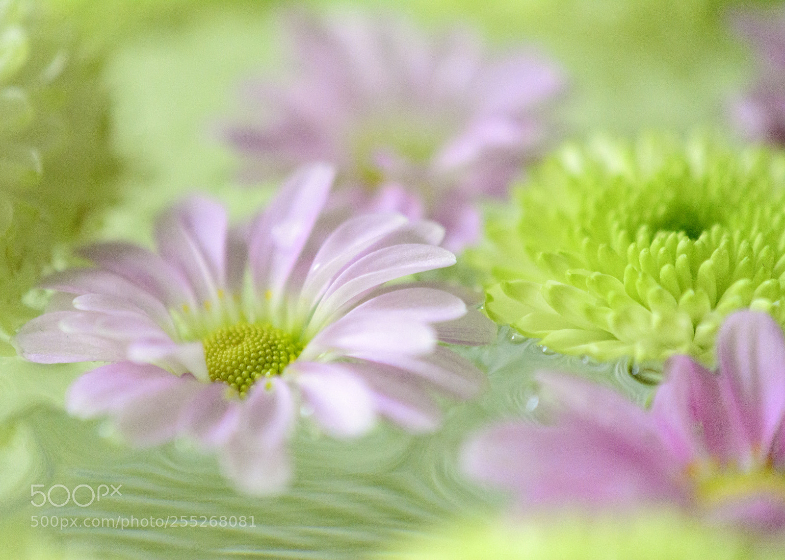 Nikon D7100 sample photo. Untitled photography