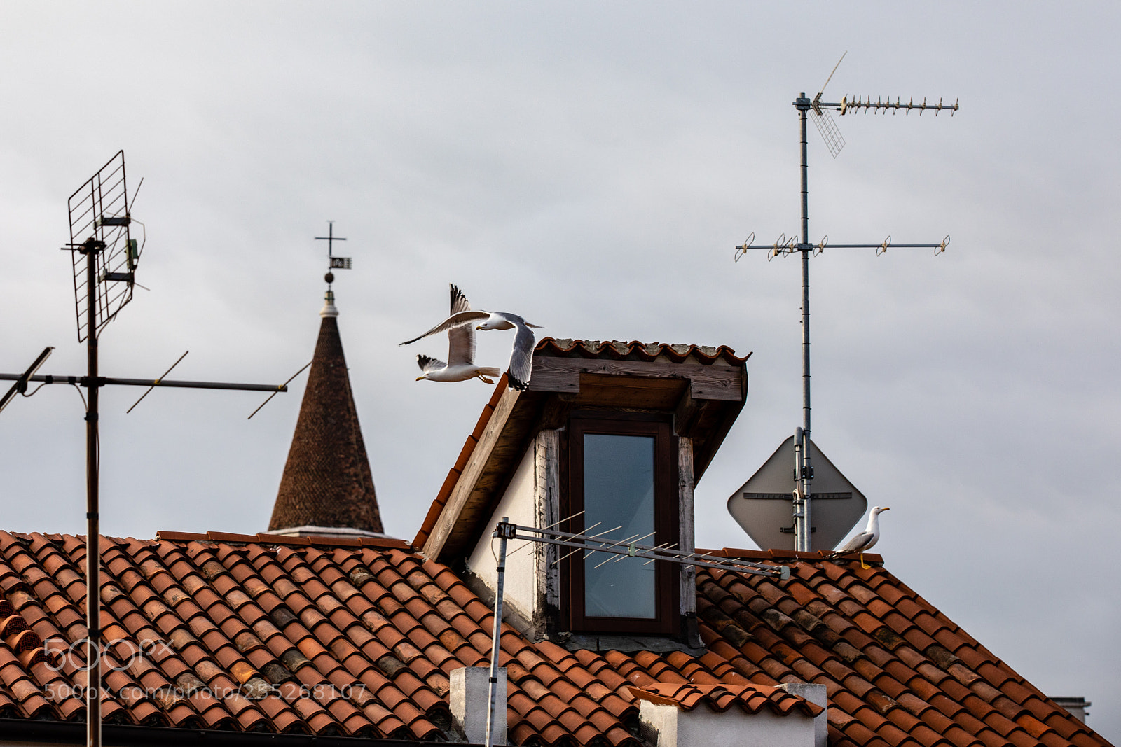 Canon EOS 5D Mark IV sample photo. Roofs of venice photography