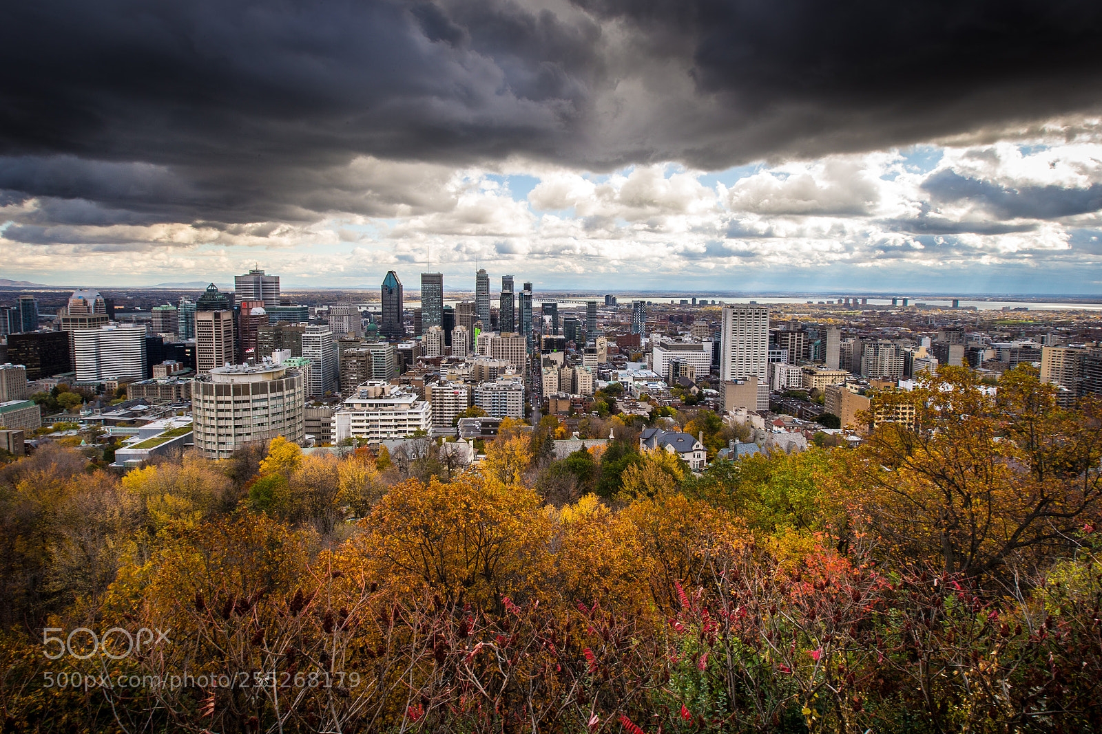 Canon EOS-1D X sample photo. Beautiful montreal photography