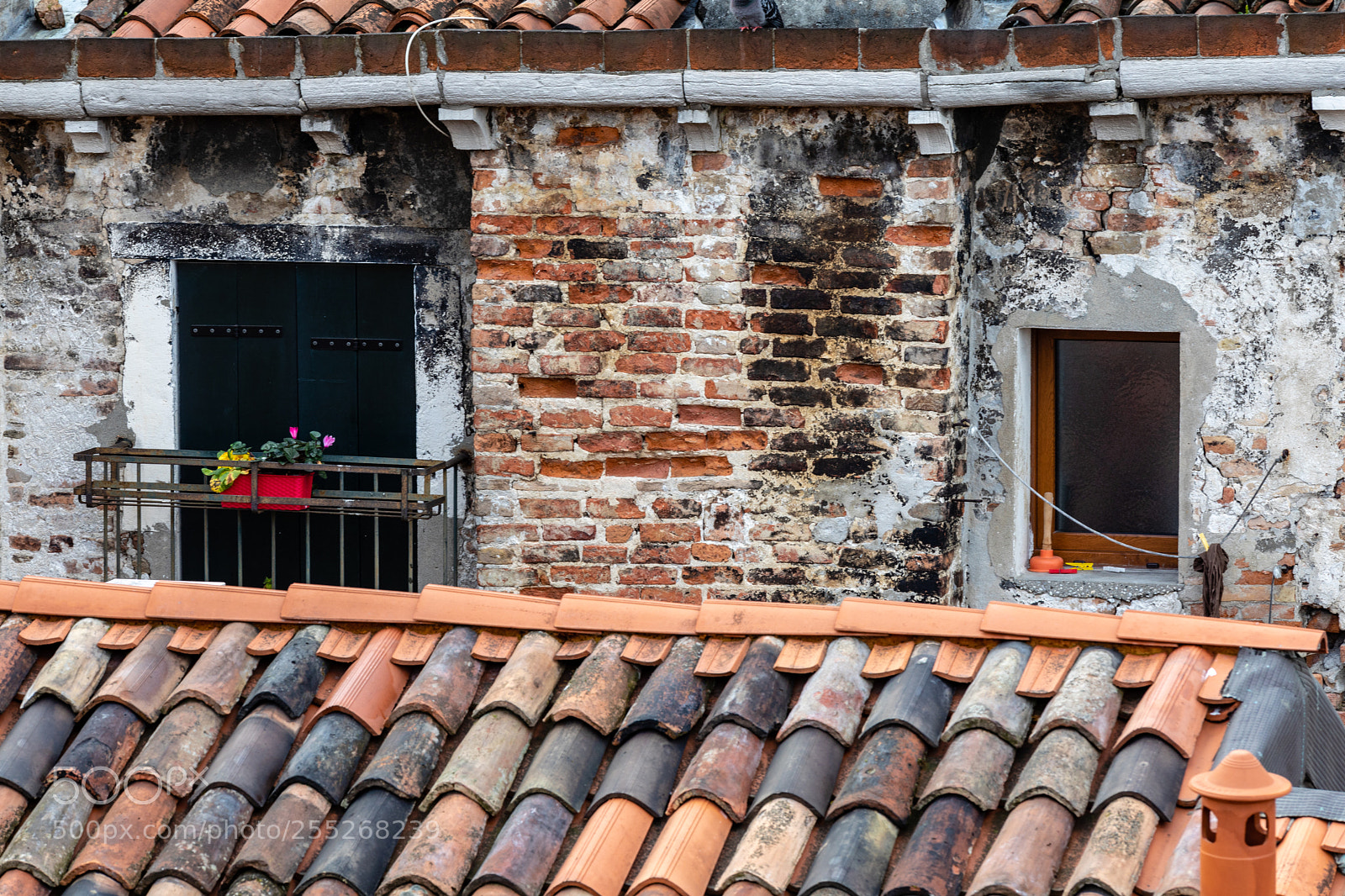 Canon EOS 5D Mark IV sample photo. Roofs of venice photography