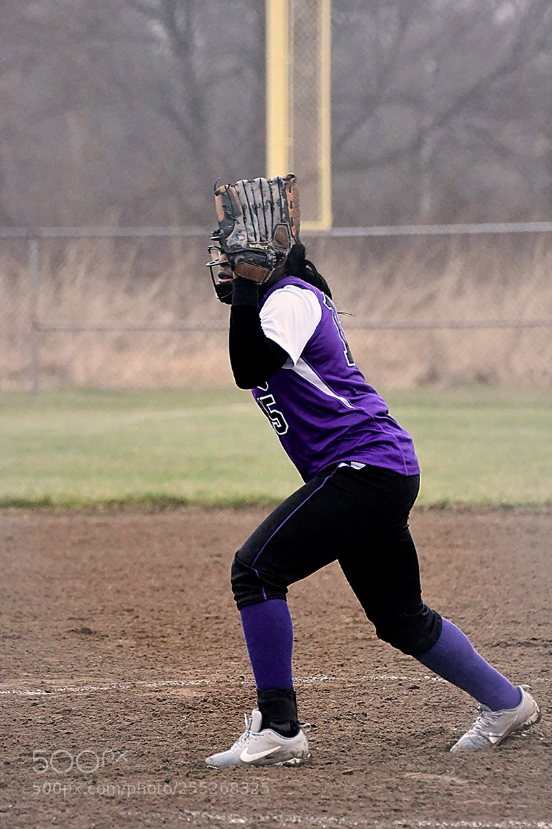 Nikon D500 sample photo. 4-18_0339.jpg photography