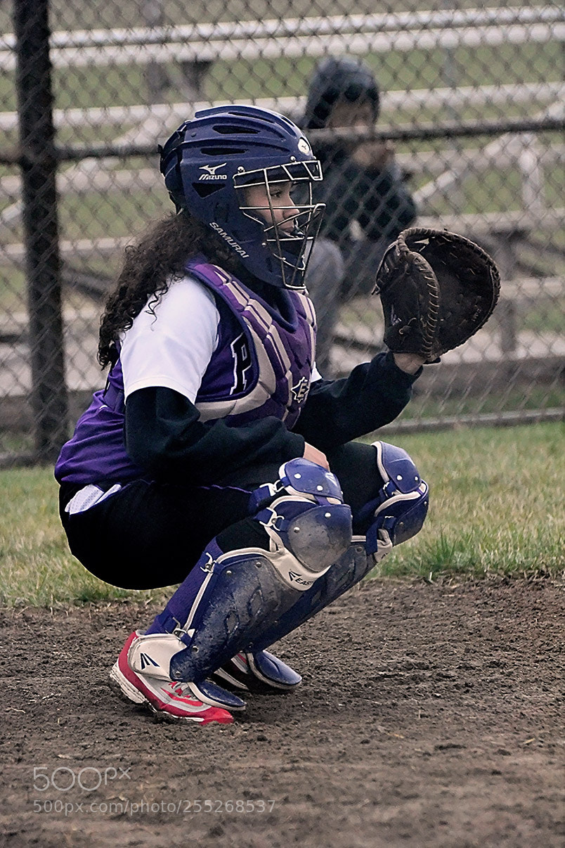 Nikon D500 sample photo. 4-18_0350.jpg photography