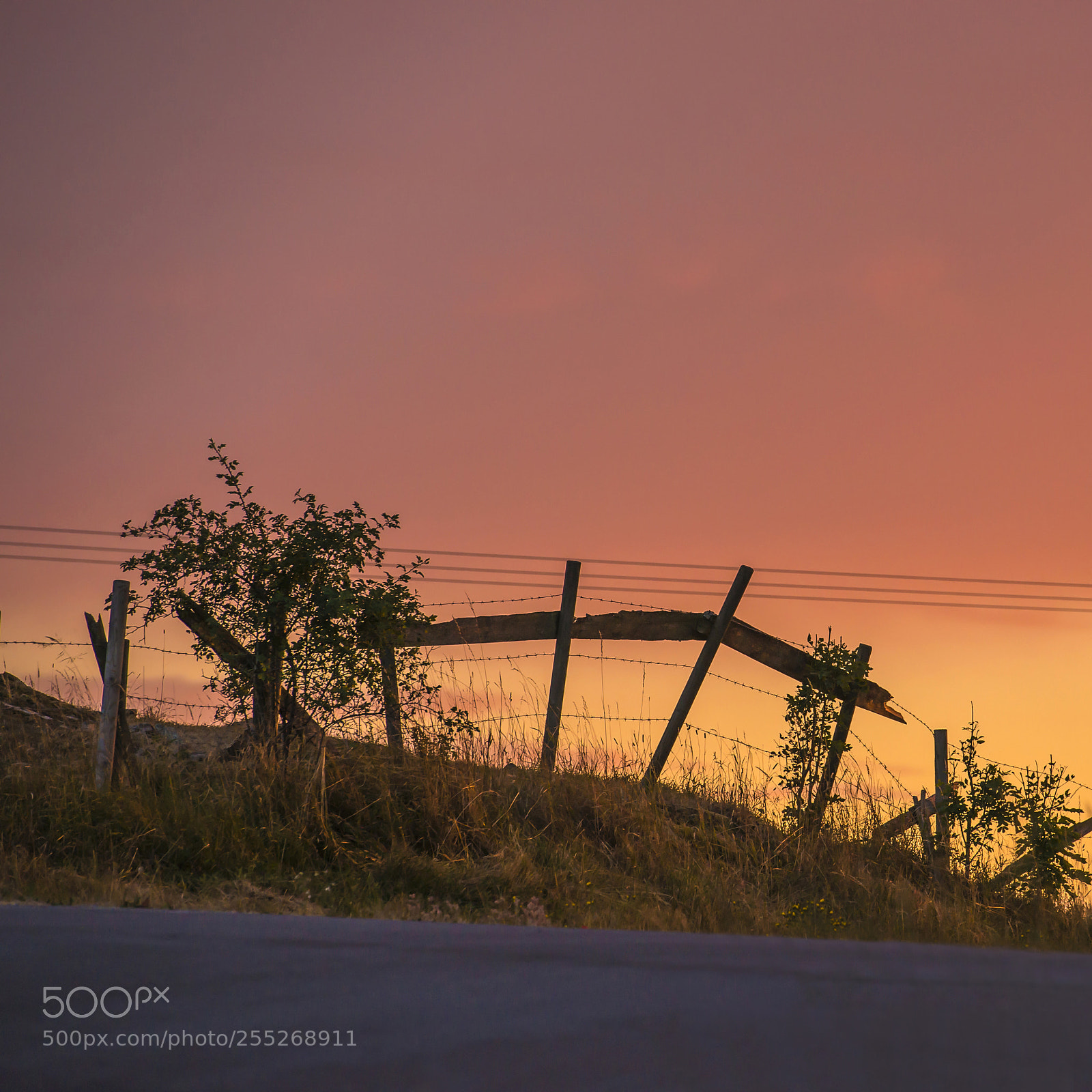 Nikon D610 sample photo. Fence and sunset photography