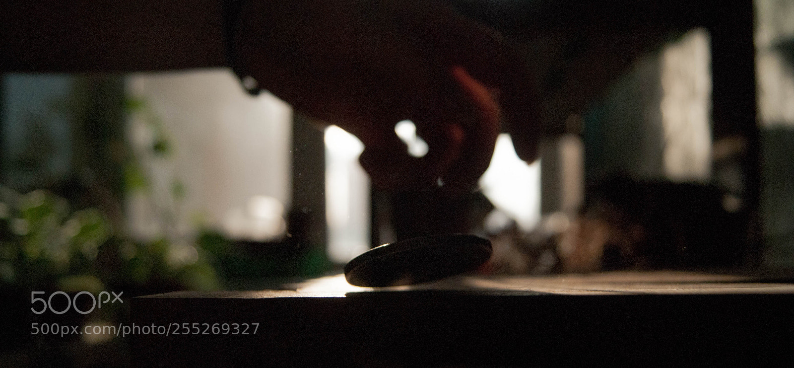 Sony Alpha DSLR-A230 sample photo. Coin photography