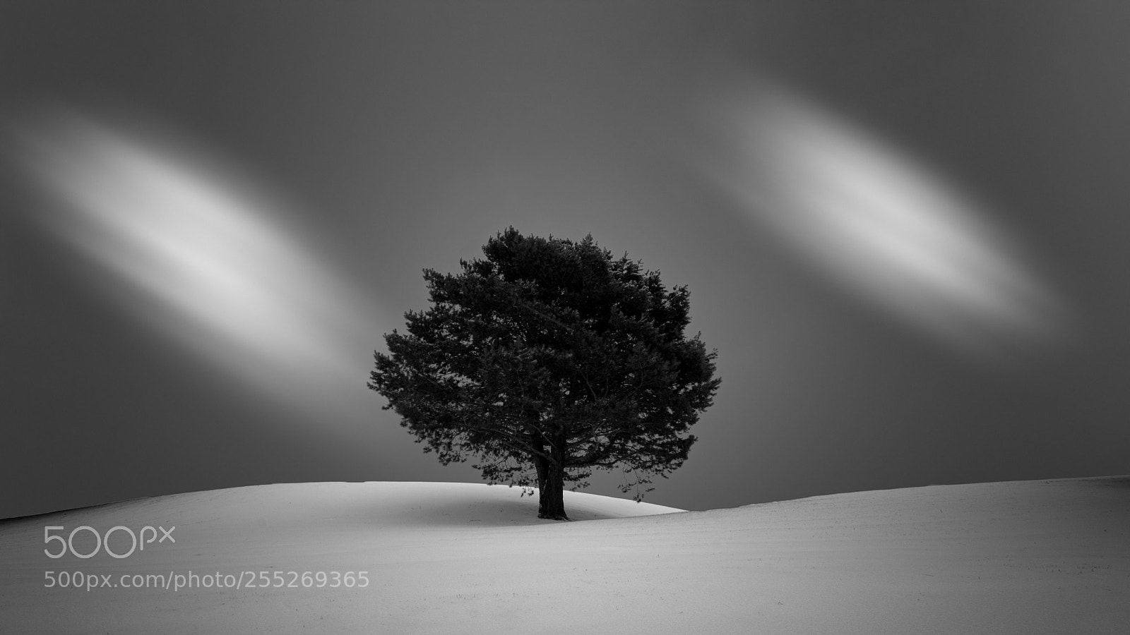 Nikon D7100 sample photo. Lone tree photography