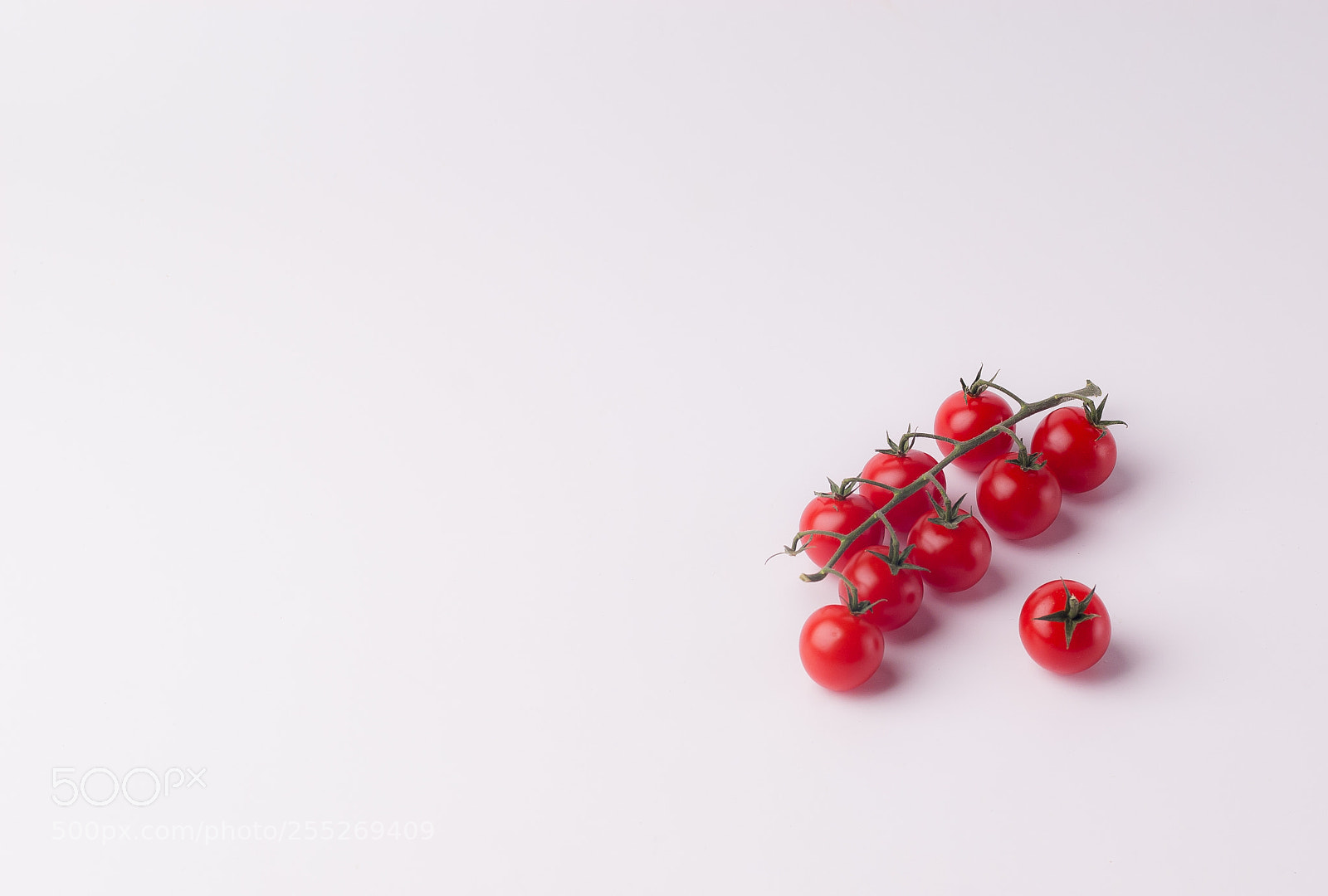 Nikon D200 sample photo. Cherry tomatoes photography