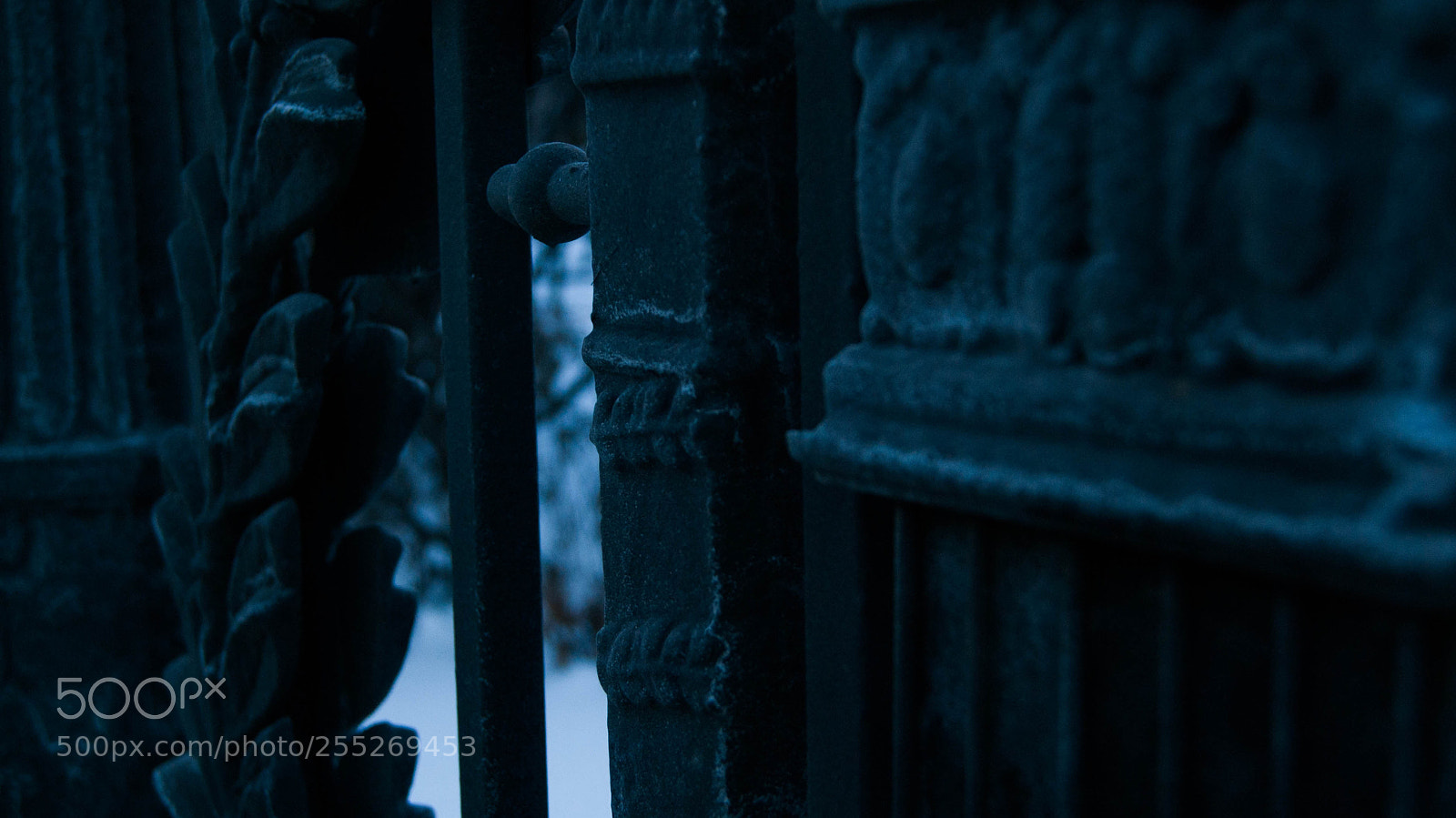 Sony Alpha DSLR-A230 sample photo. Frosen stone fence photography